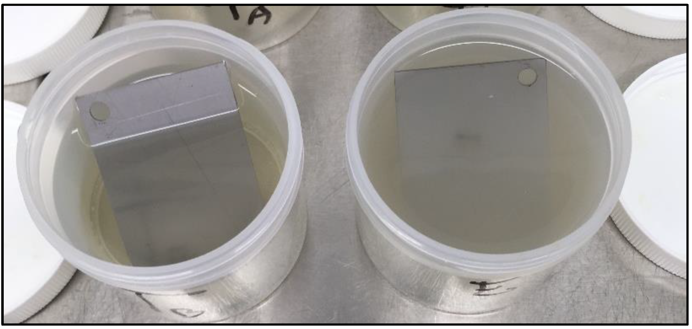 Viruses 11 00749 g008