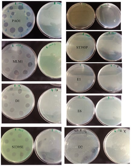 Viruses 11 00749 g0a1