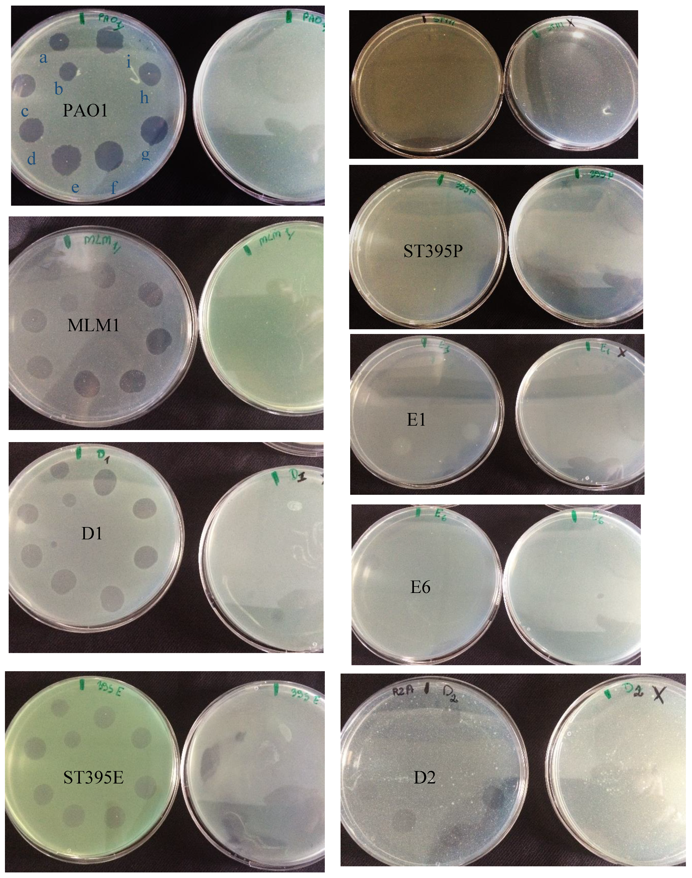 Viruses 11 00749 g0a1