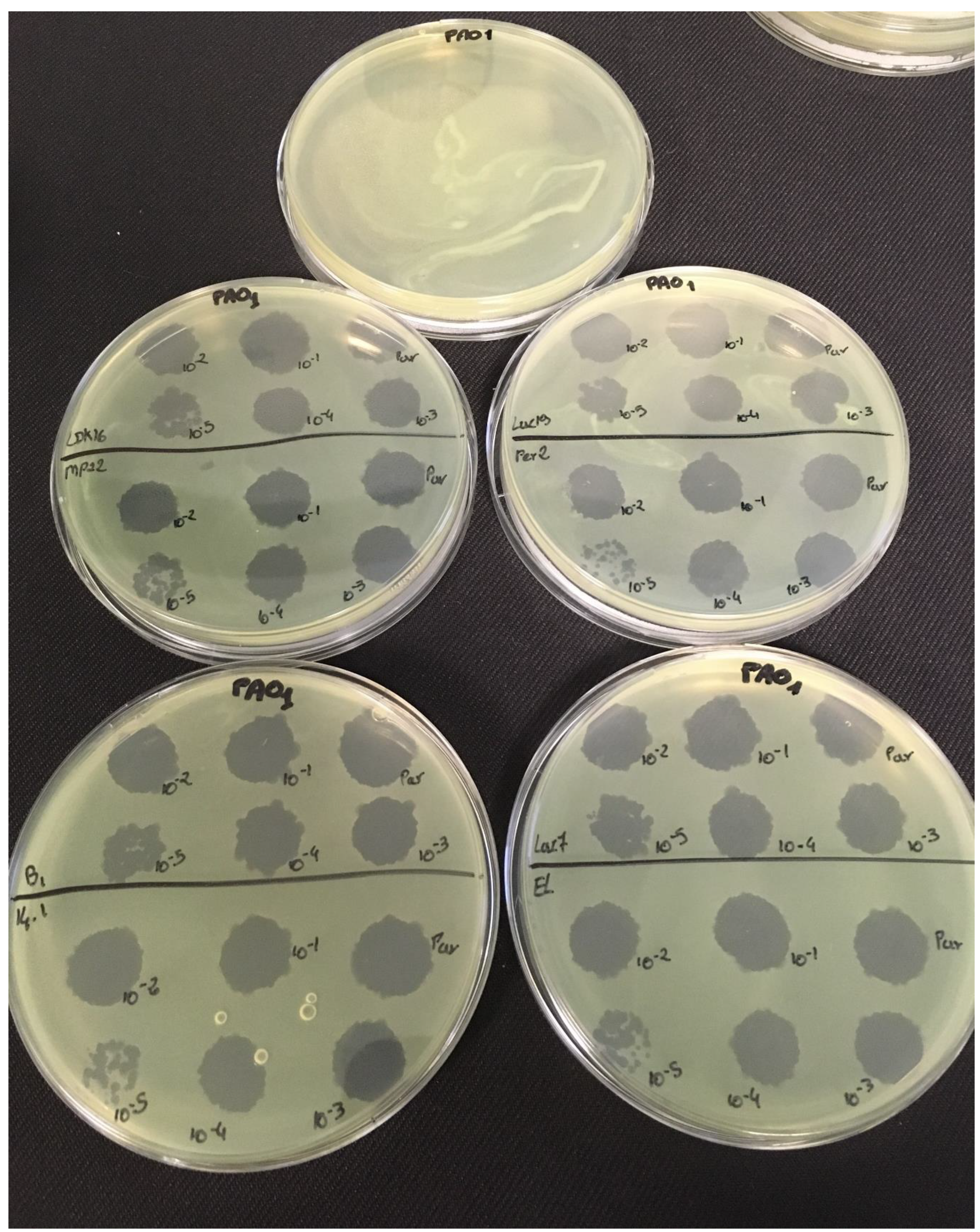 Viruses 11 00749 g0a2