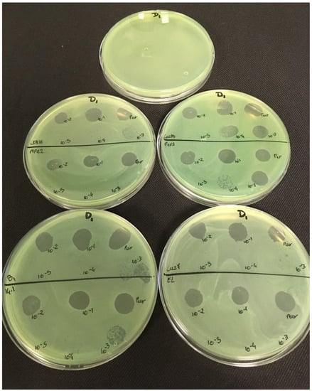 Viruses 11 00749 g0a3