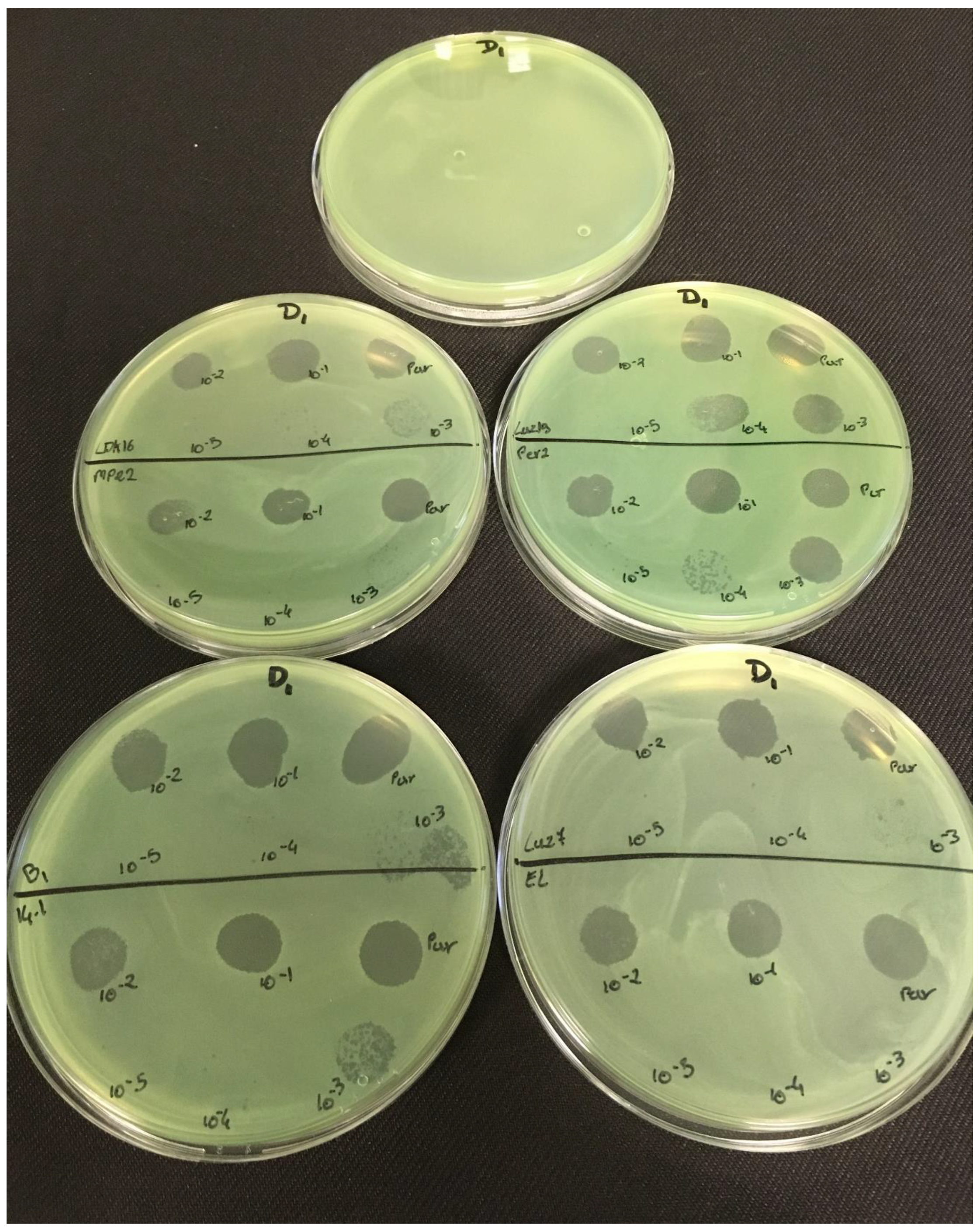 Viruses 11 00749 g0a3