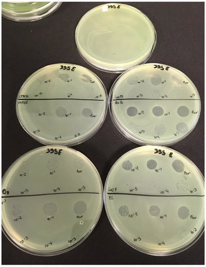 Viruses 11 00749 g0a4