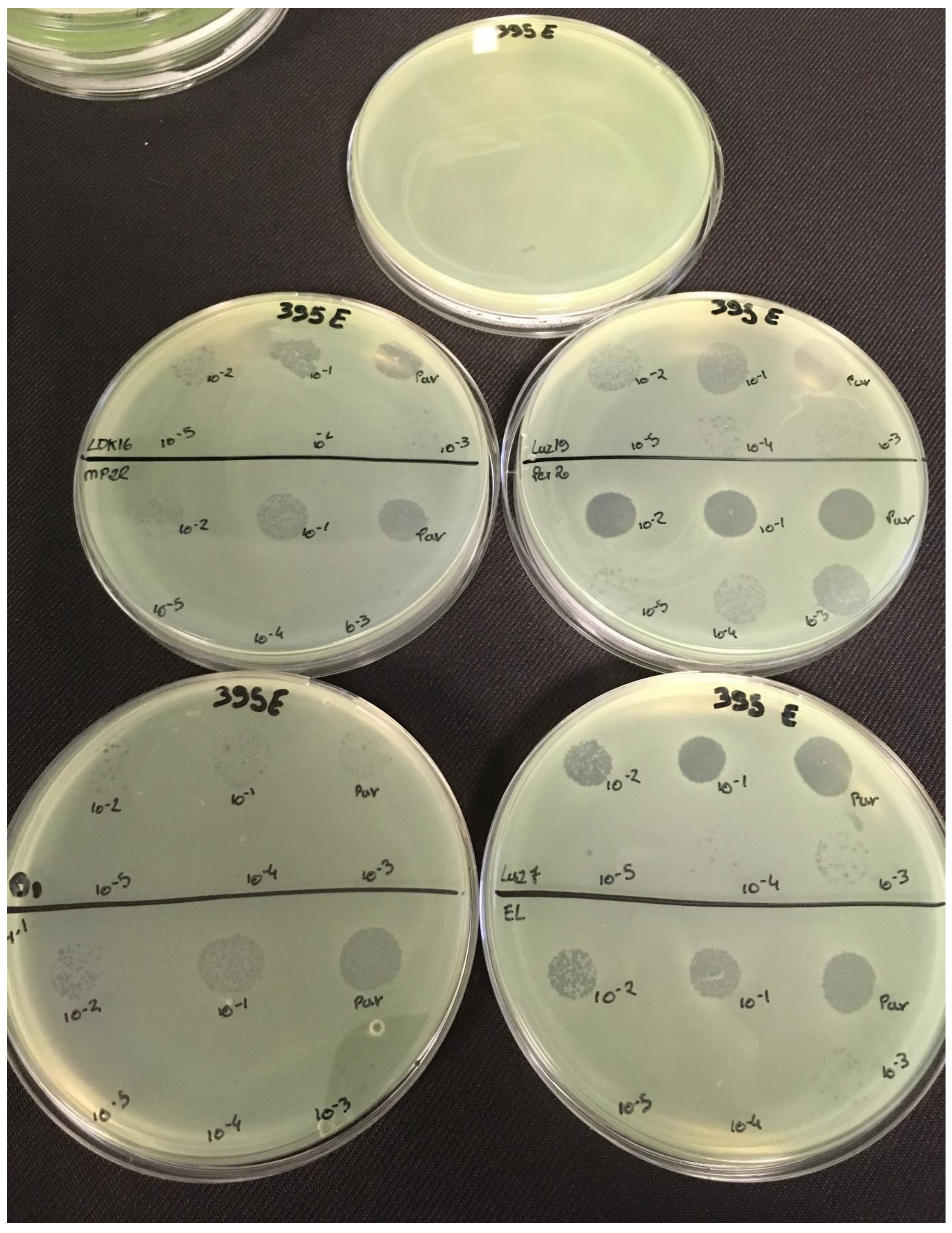 Viruses 11 00749 g0a4