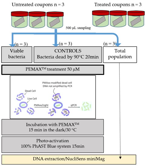 Viruses 11 00749 g0a6