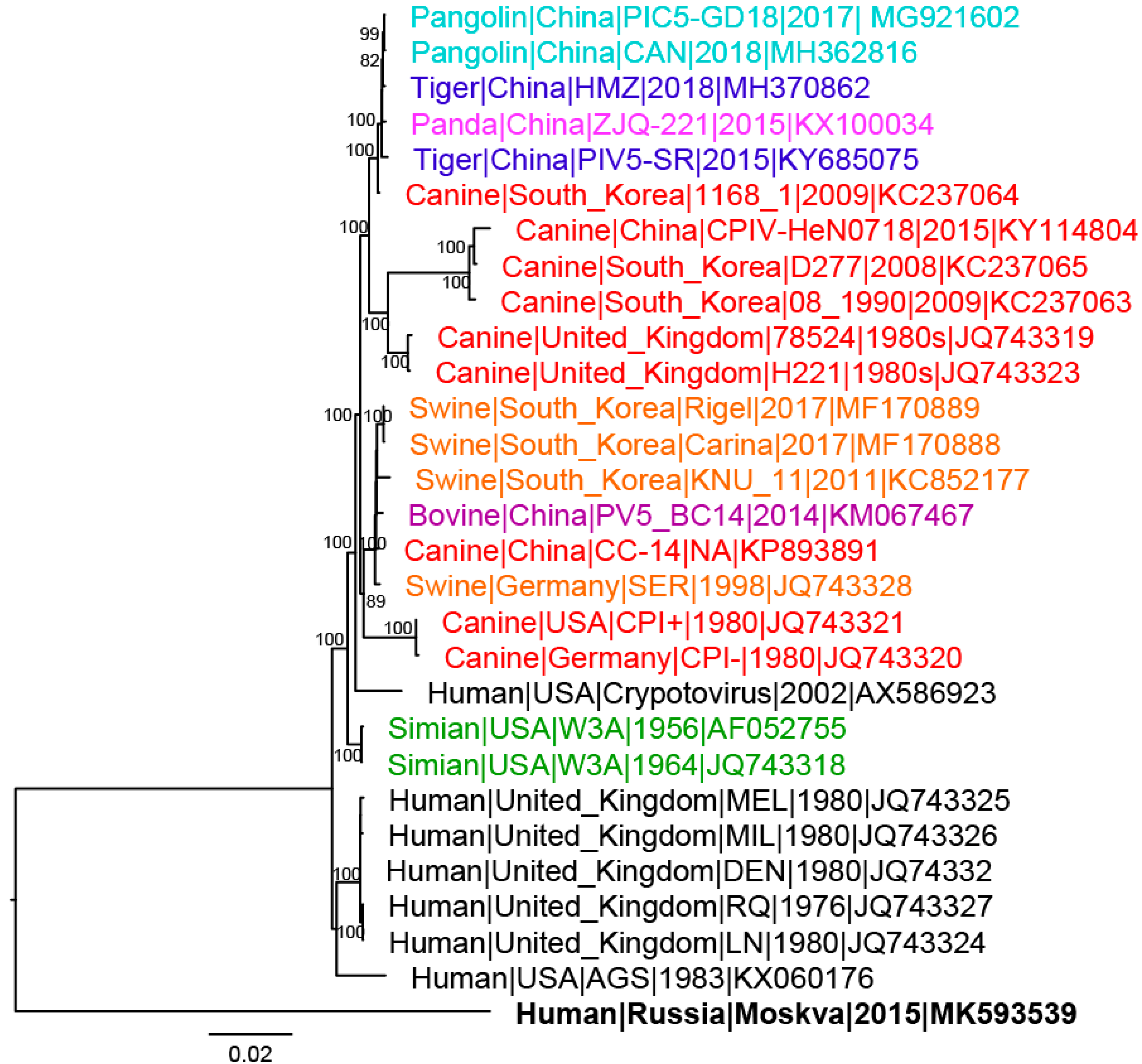 Viruses 11 00777 g002 Viruses 11 00777 g002