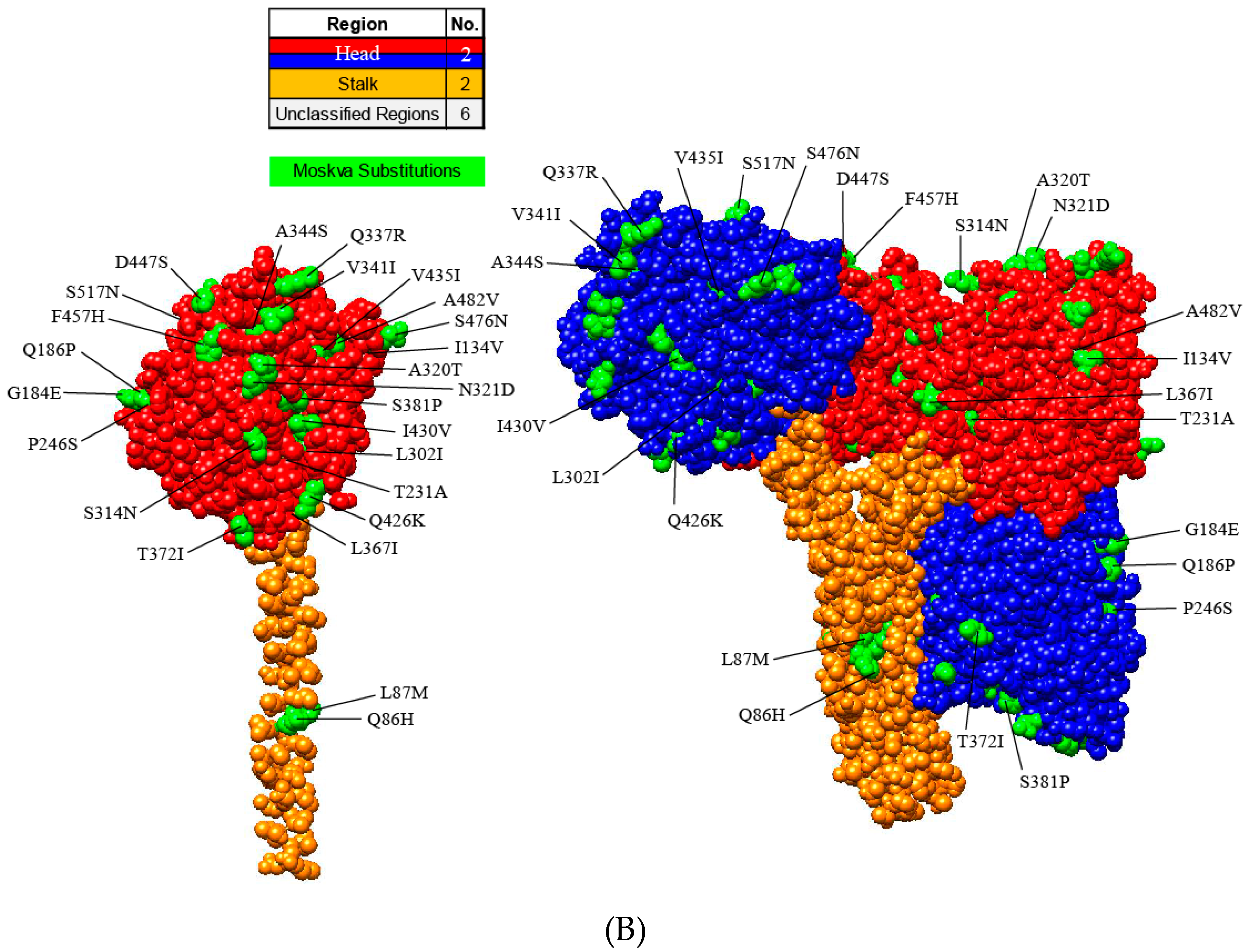 Viruses 11 00777 g003b Viruses 11 00777 g003b