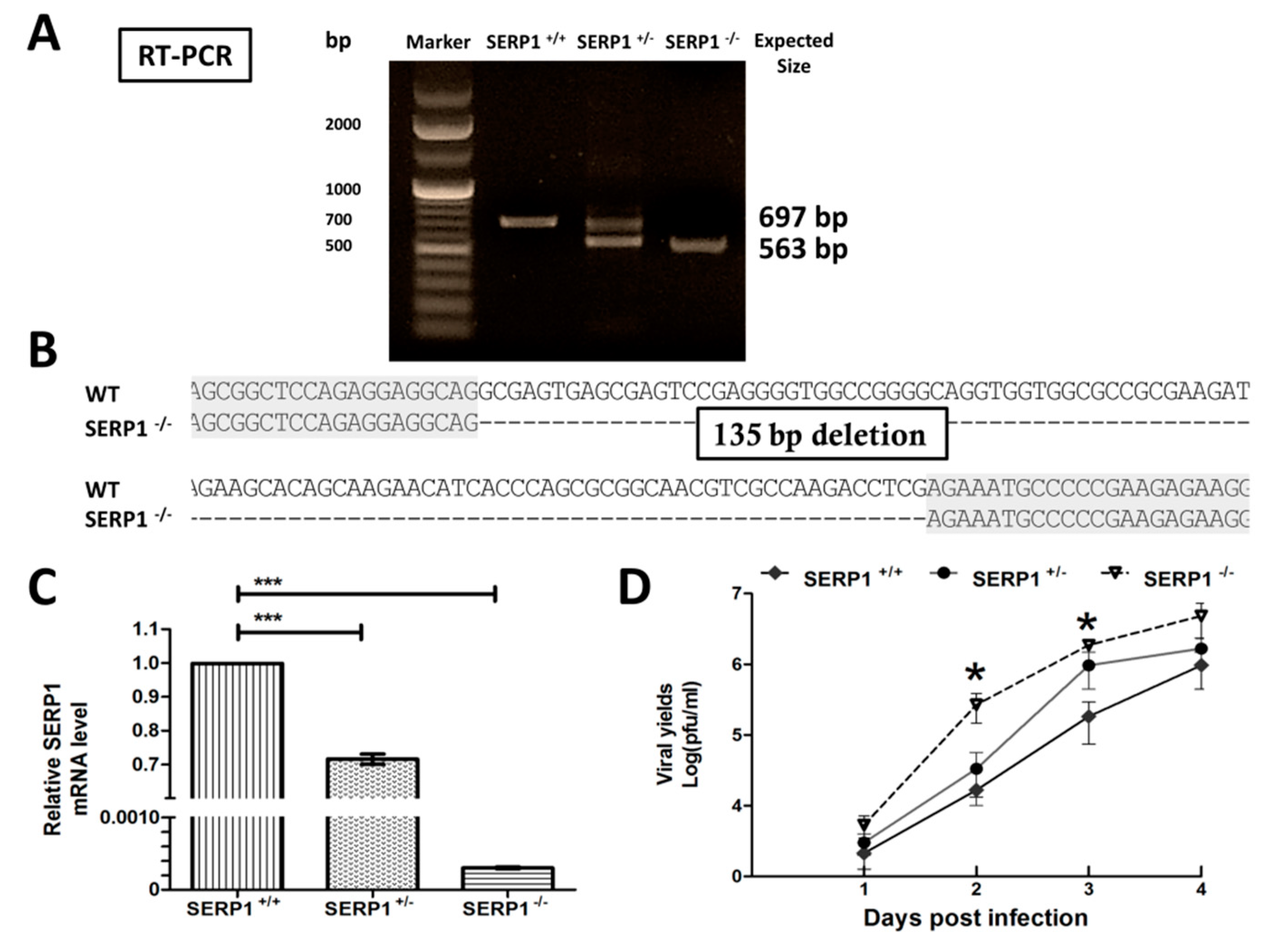 Viruses 11 00787 g004