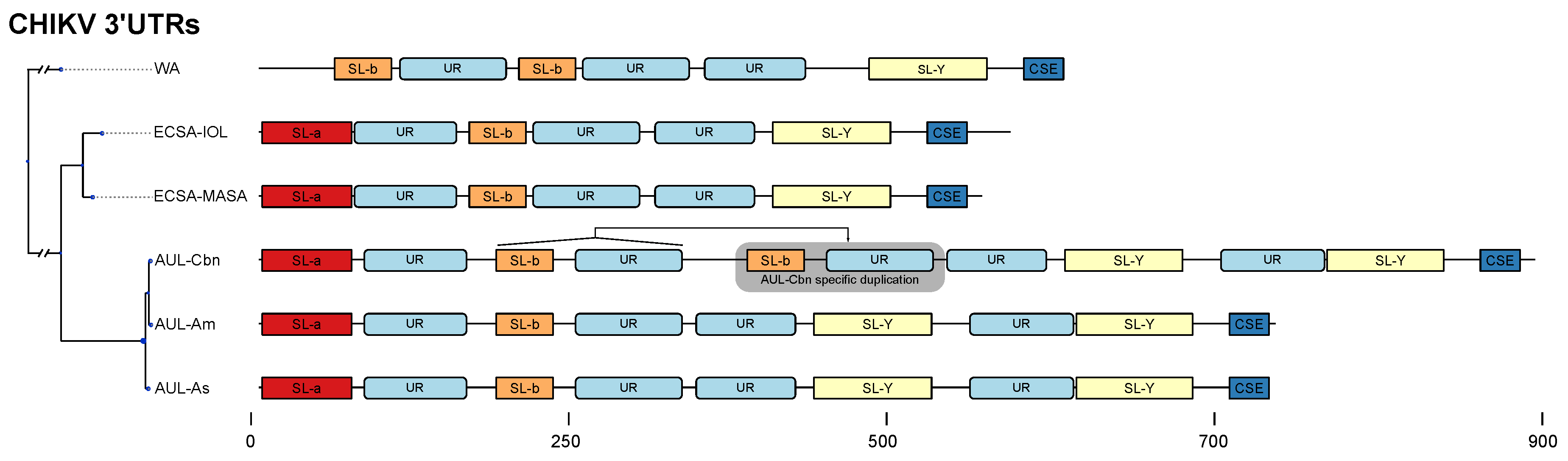 Viruses 11 00798 g004 Viruses 11 00798 g004