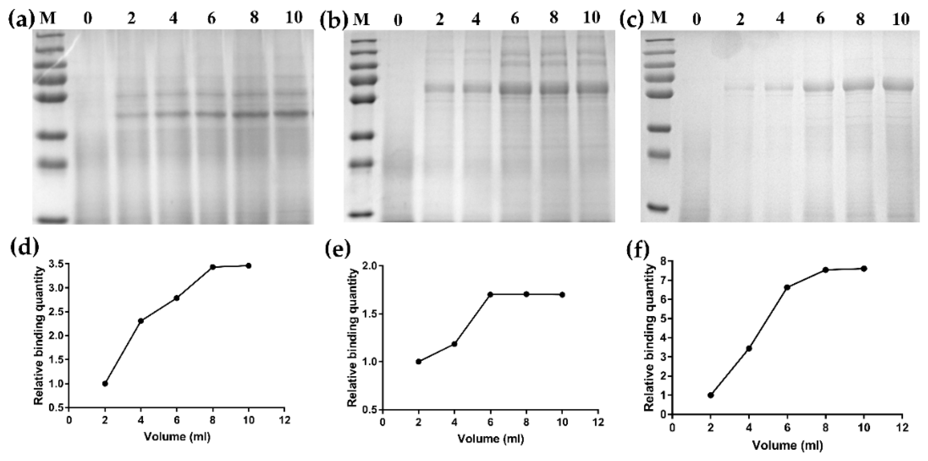 Viruses 11 00799 g003