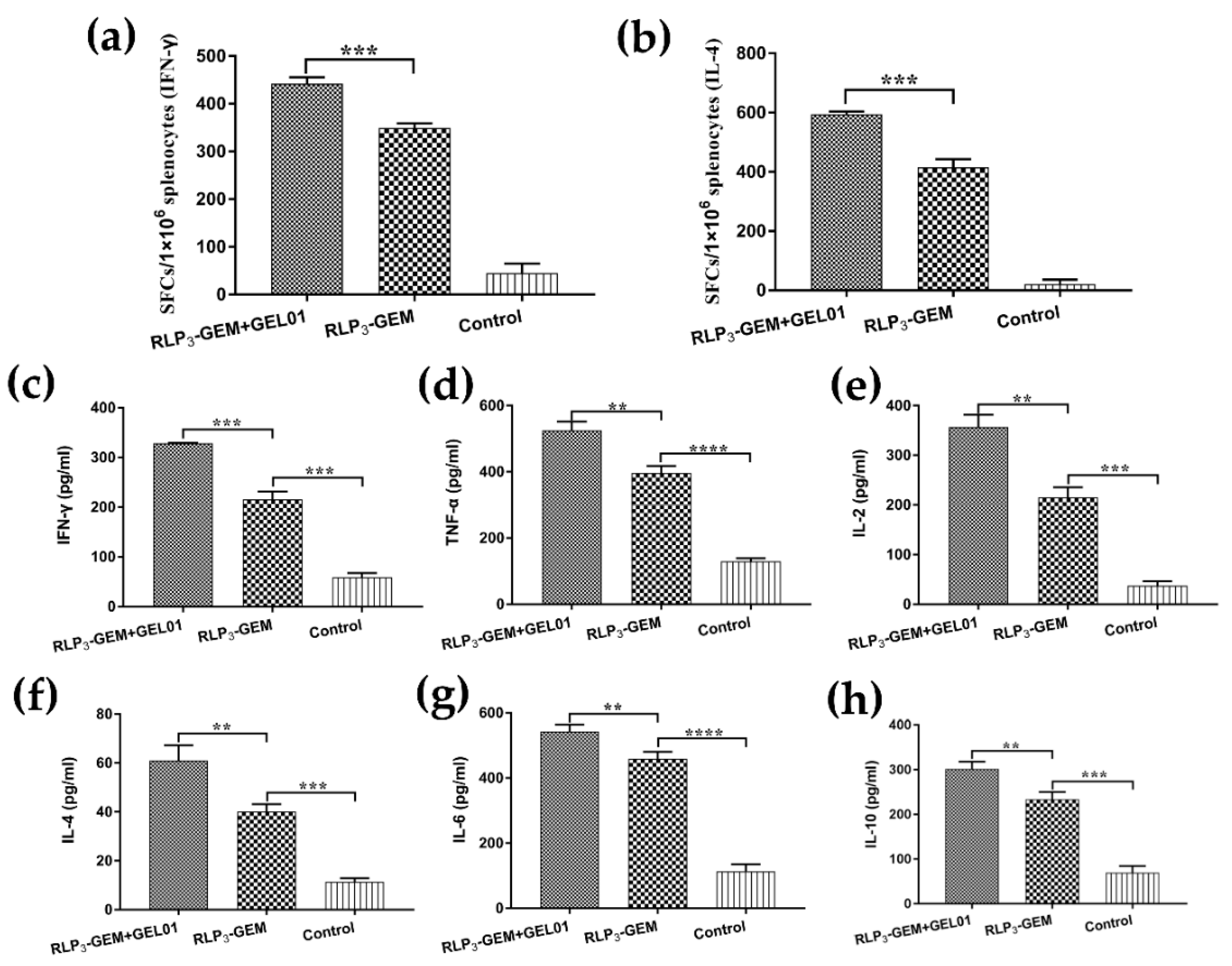 Viruses 11 00799 g006