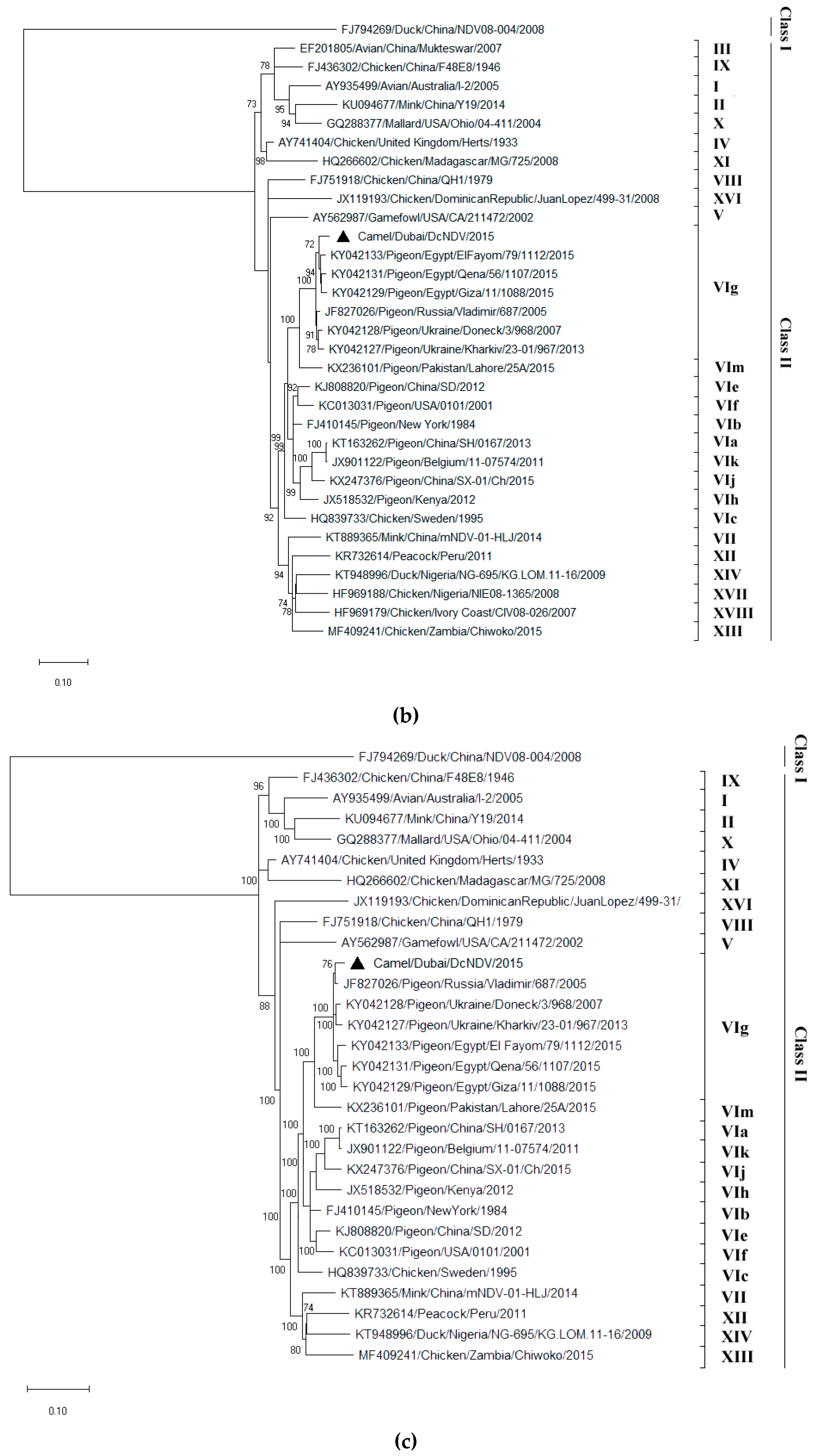 Viruses 11 00810 g002b Viruses 11 00810 g002b