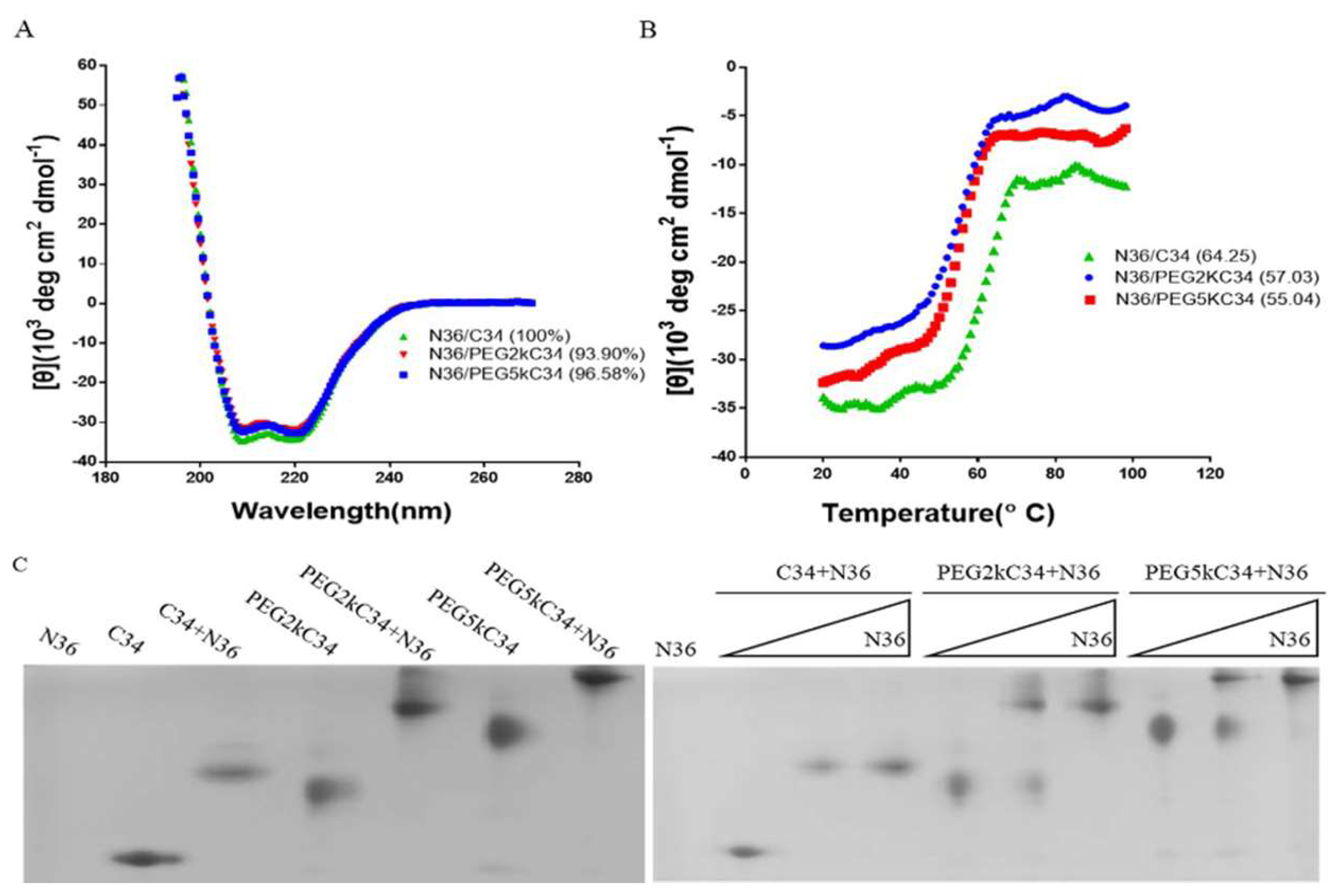Viruses 11 00811 g002