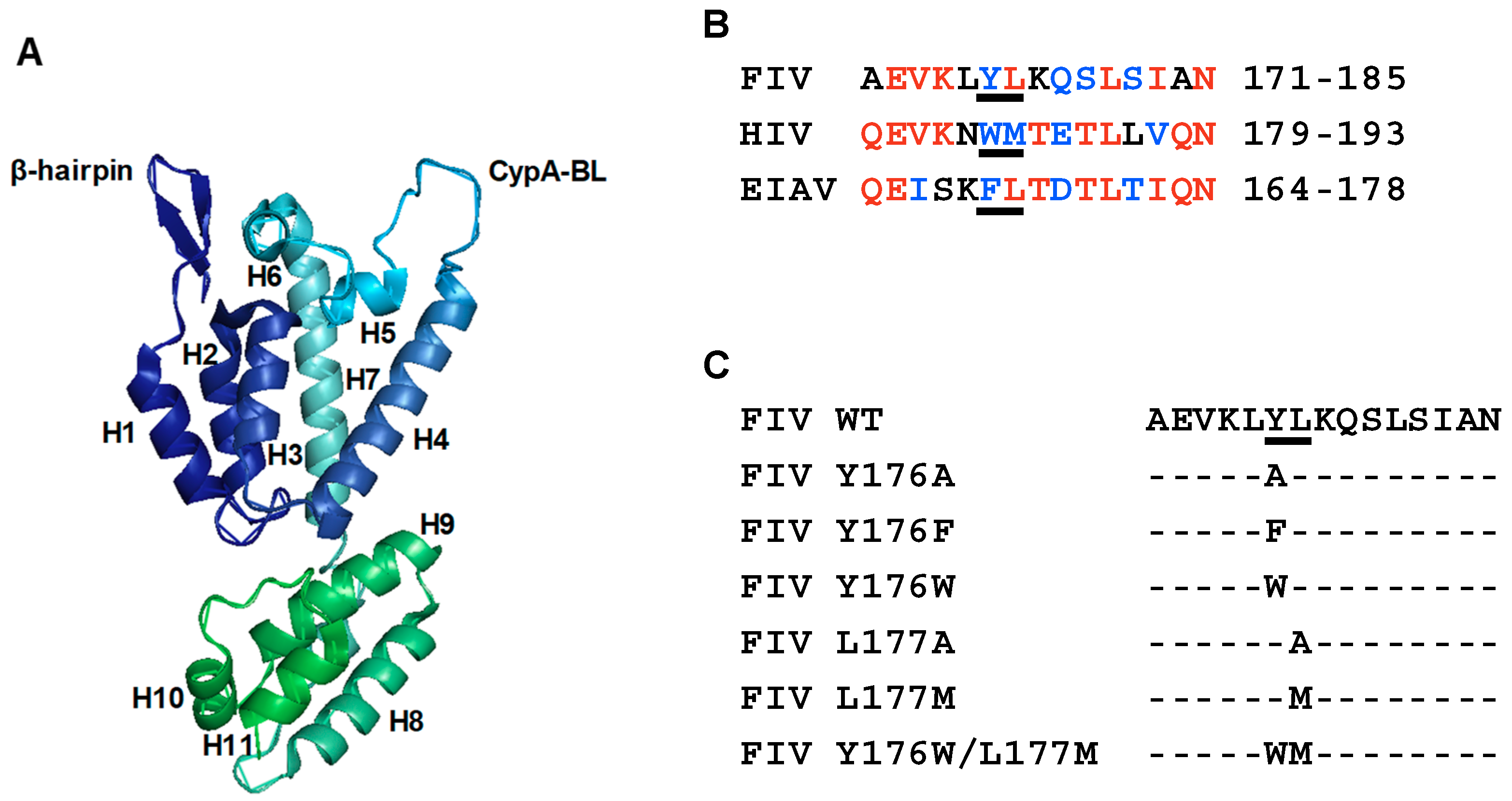 Viruses 11 00816 g001