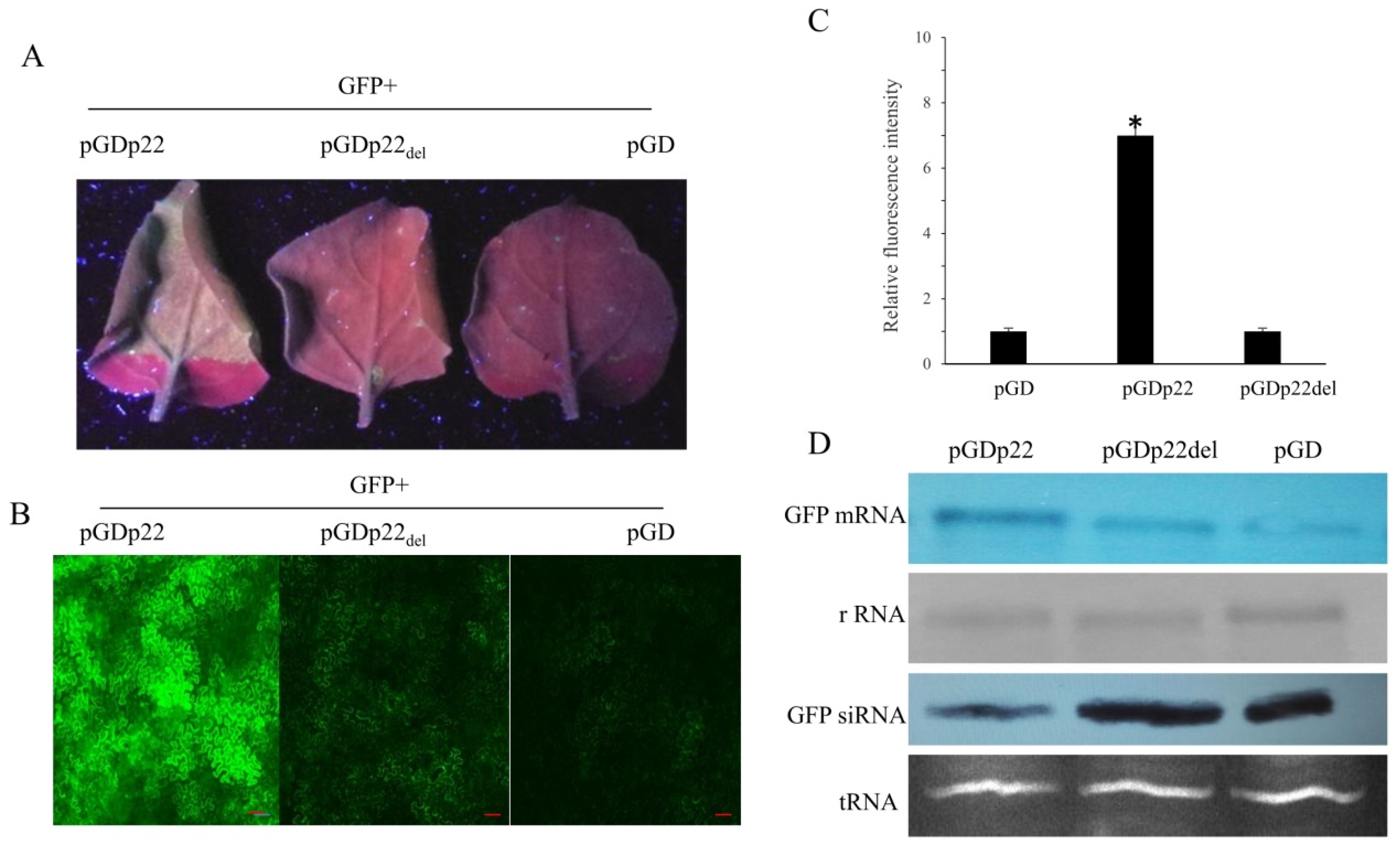 Viruses 11 00818 g005 Viruses 11 00818 g005
