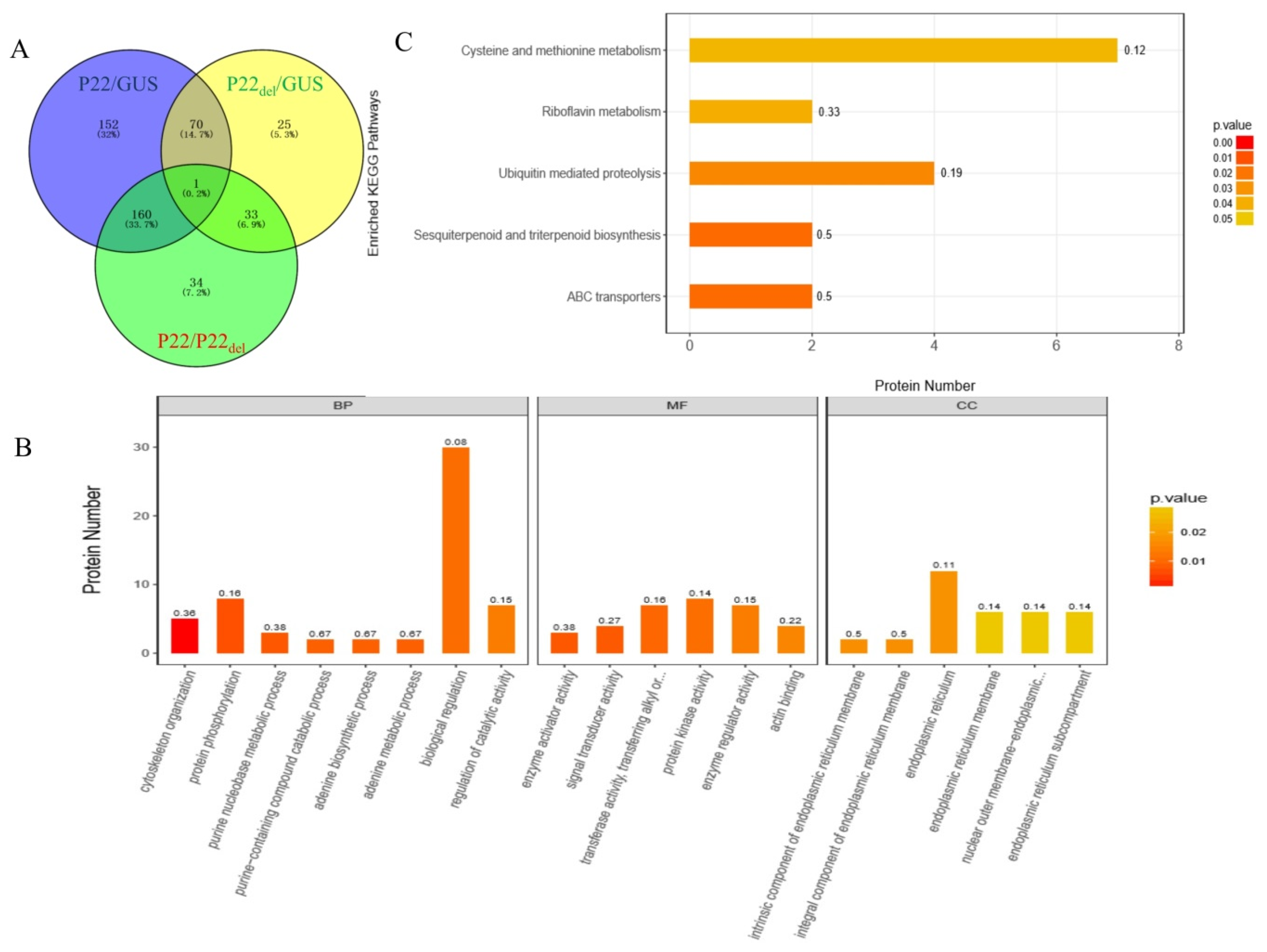 Viruses 11 00818 g006 Viruses 11 00818 g006