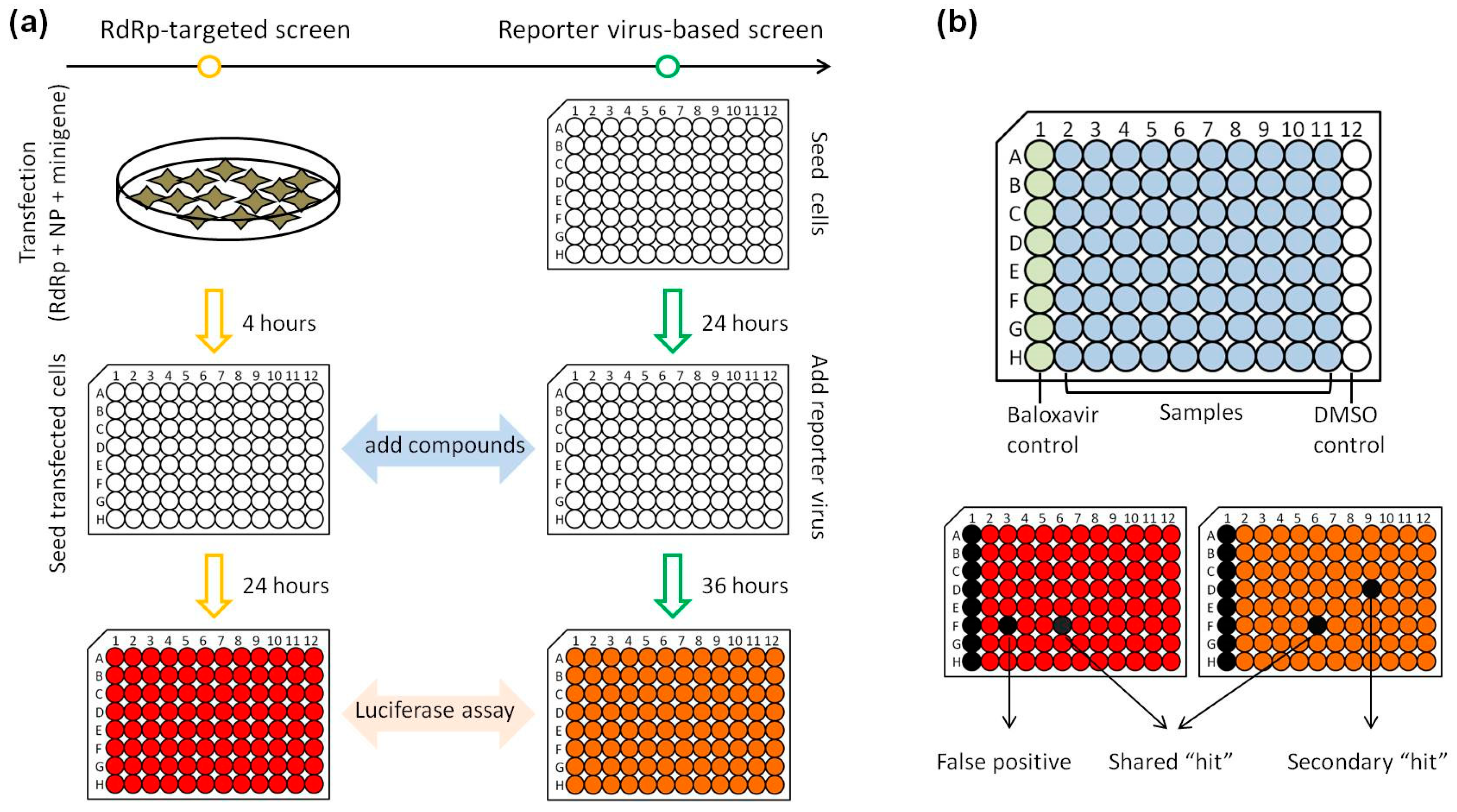 Viruses 11 00826 g003 Viruses 11 00826 g003