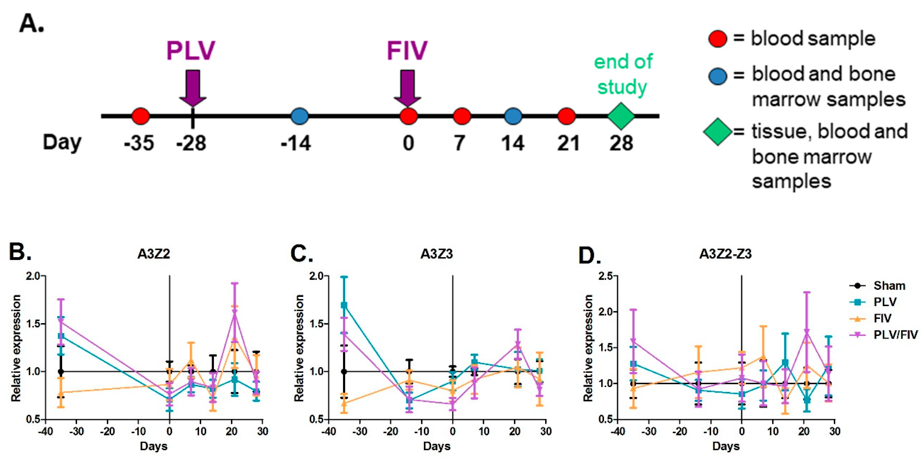 Viruses 11 00831 g005 Viruses 11 00831 g005