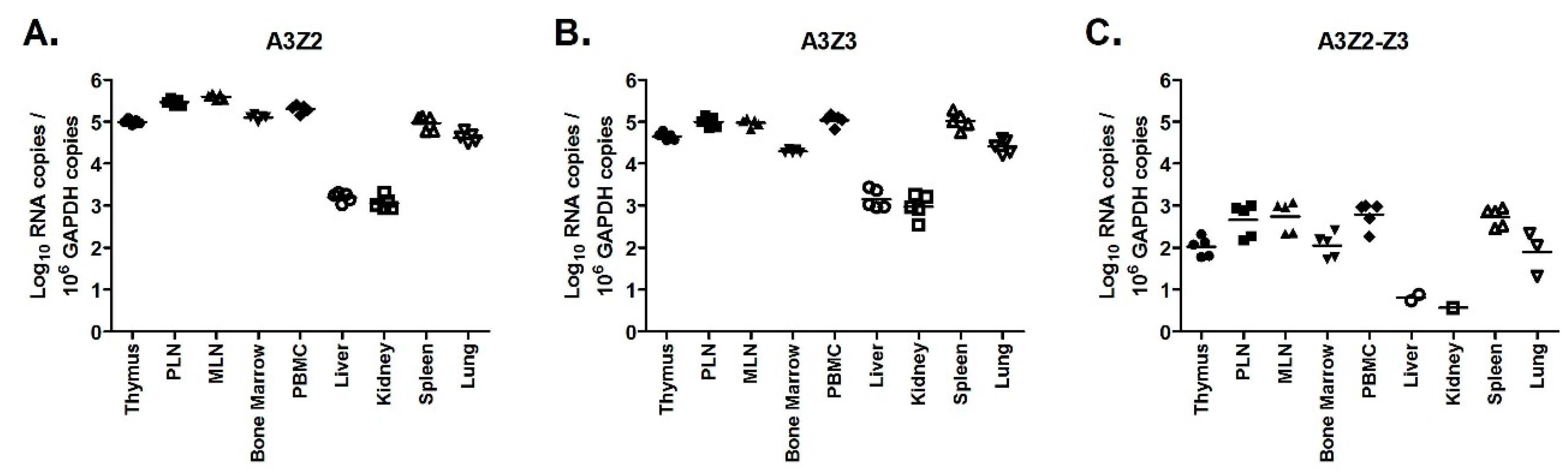 Viruses 11 00831 g006 Viruses 11 00831 g006