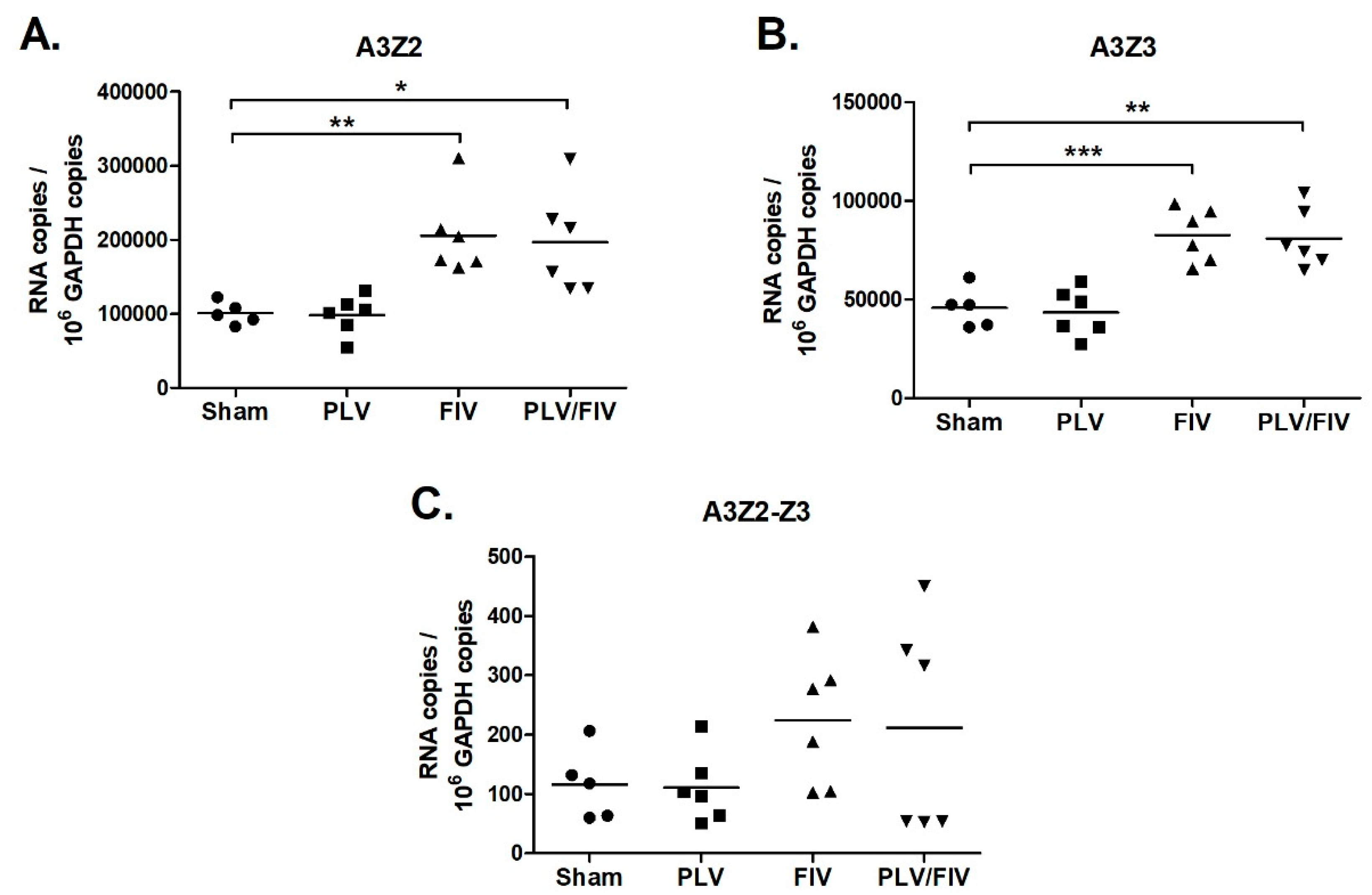 Viruses 11 00831 g007 Viruses 11 00831 g007