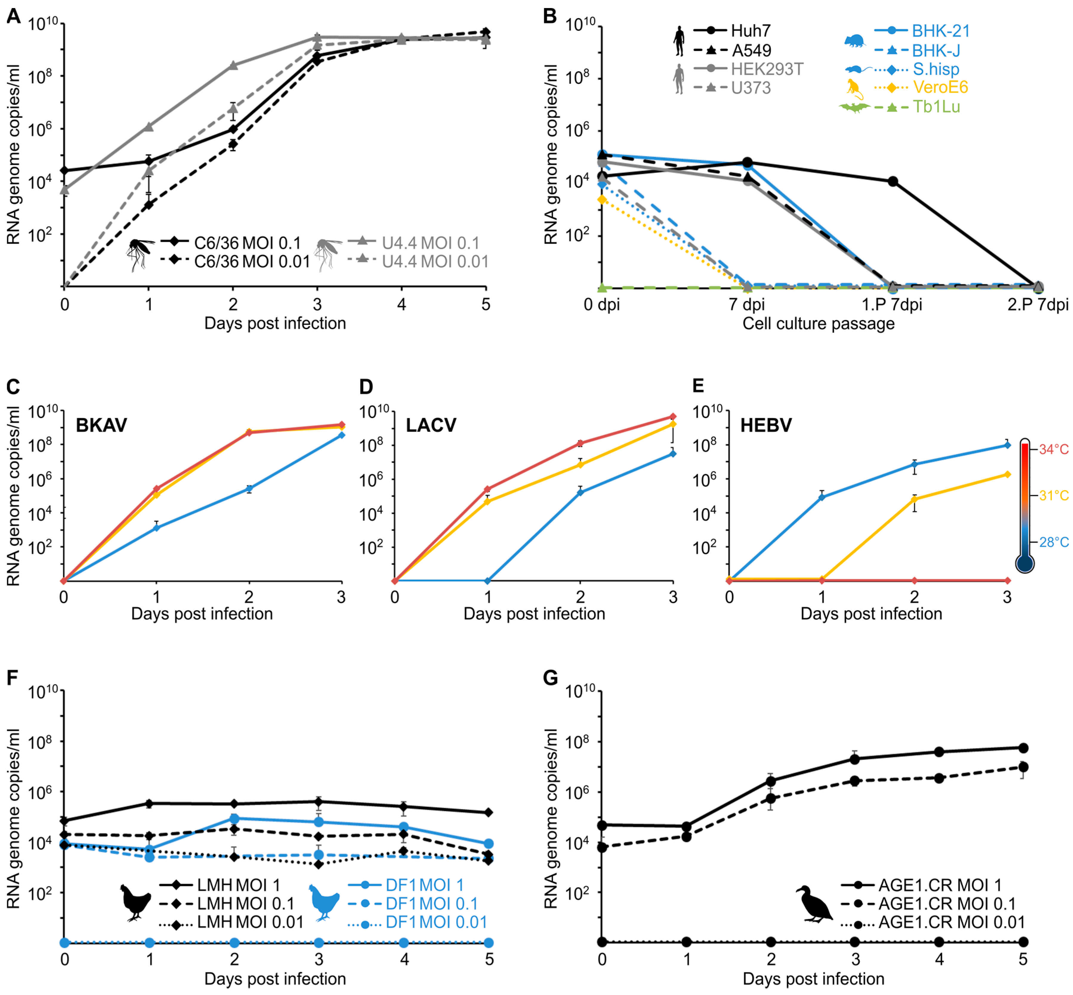 Viruses 11 00832 g005