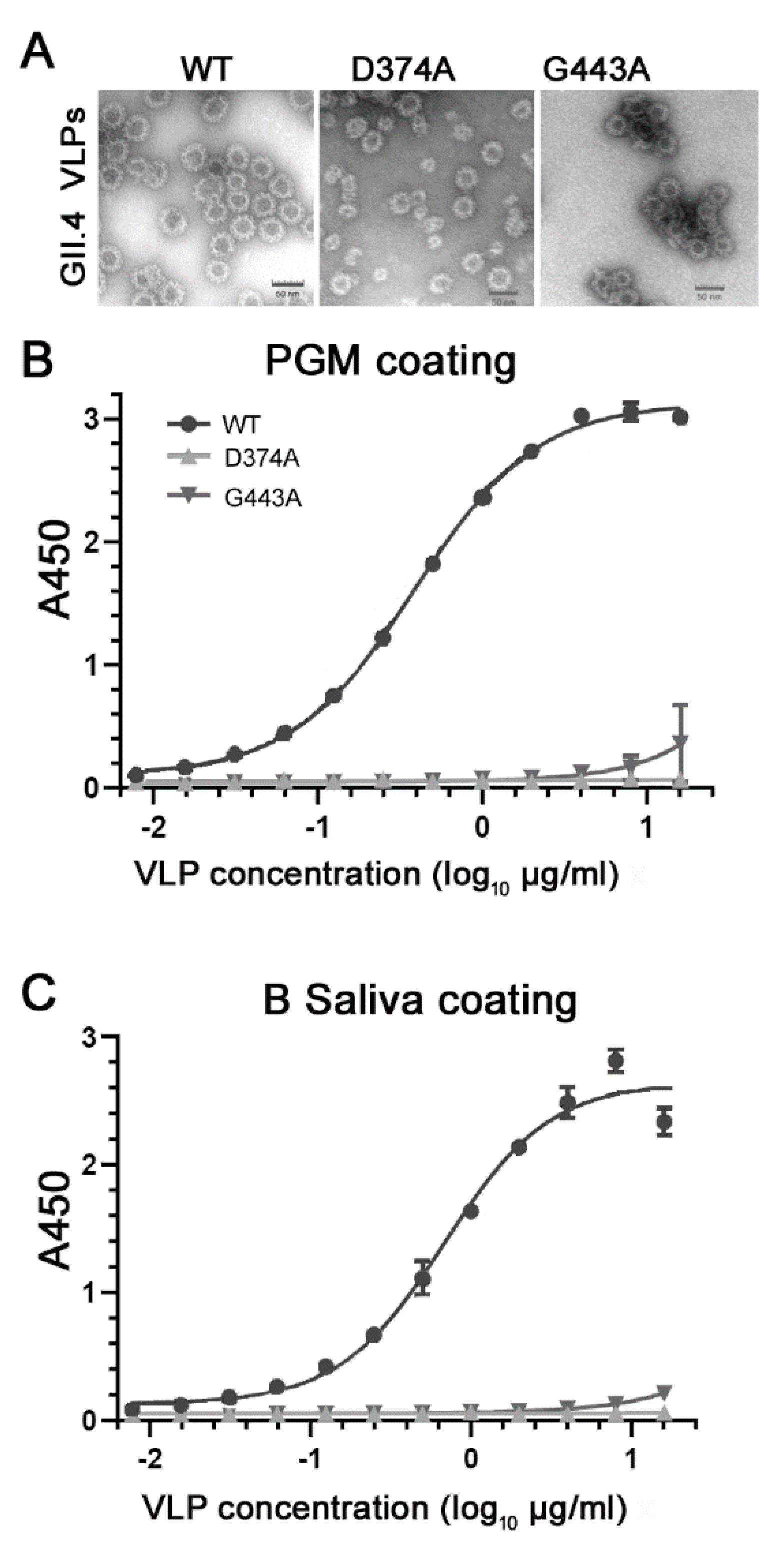 Viruses 11 00833 g002