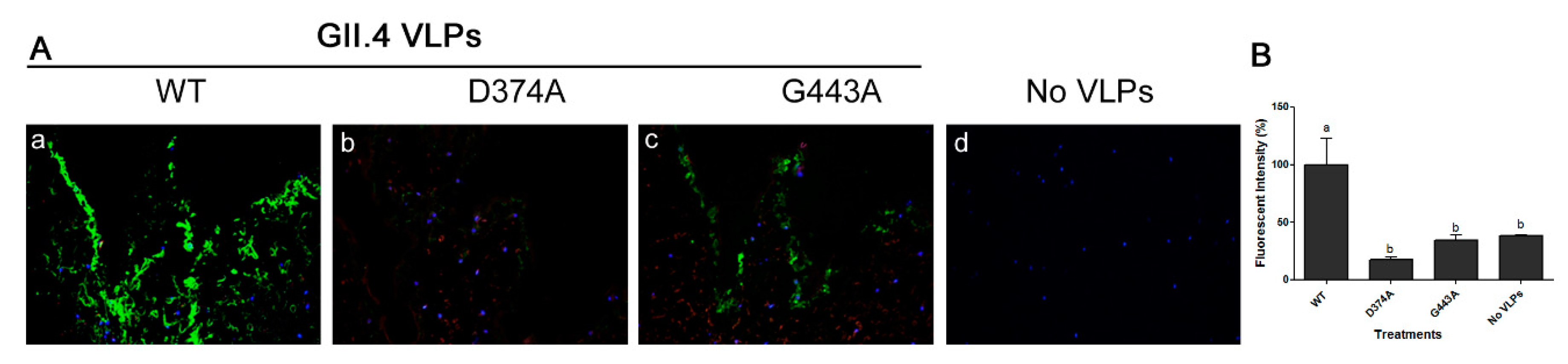 Viruses 11 00833 g004