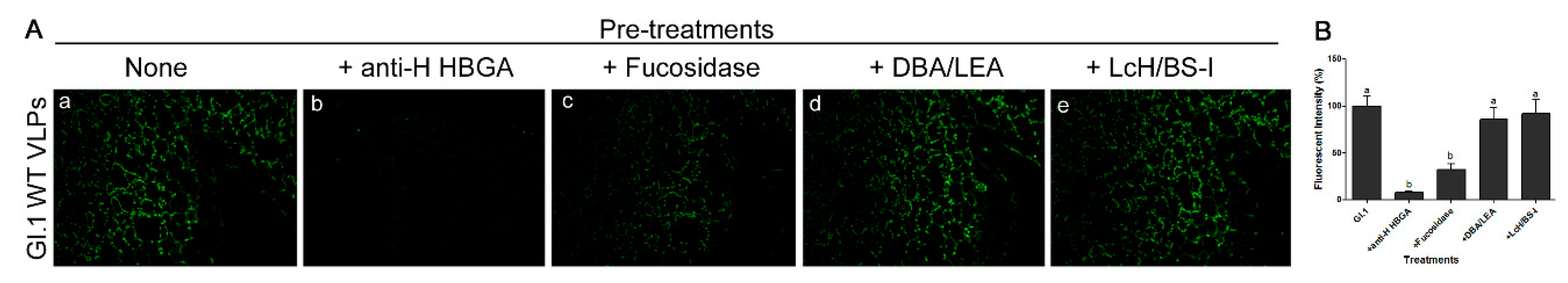 Viruses 11 00833 g005
