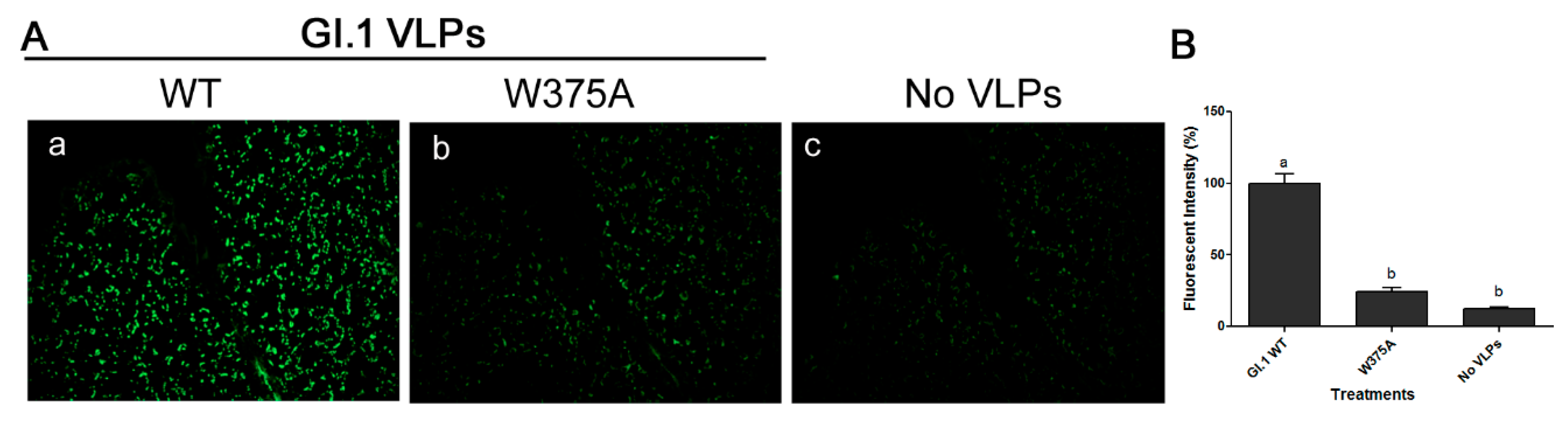 Viruses 11 00833 g007