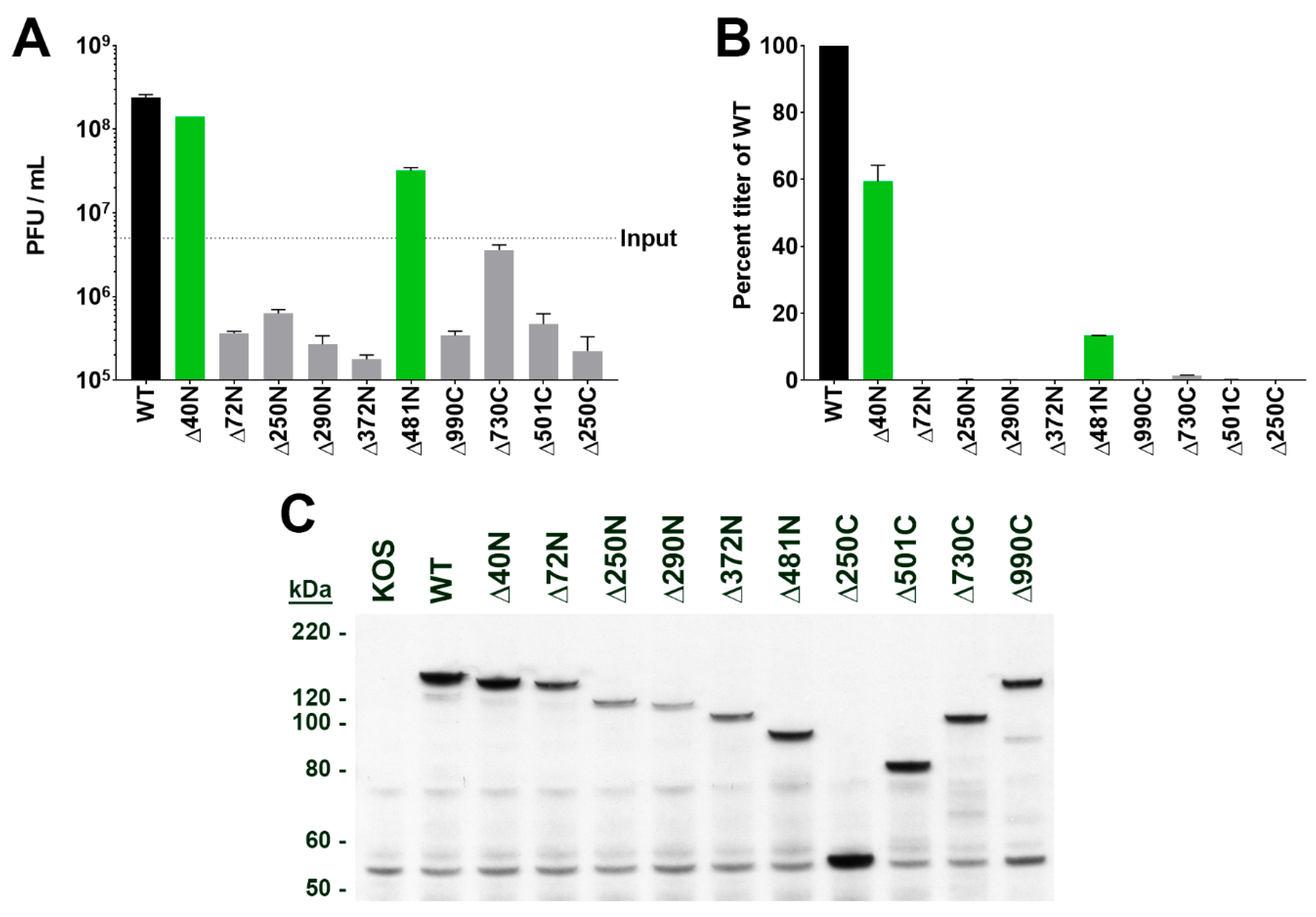 Viruses 11 00853 g002