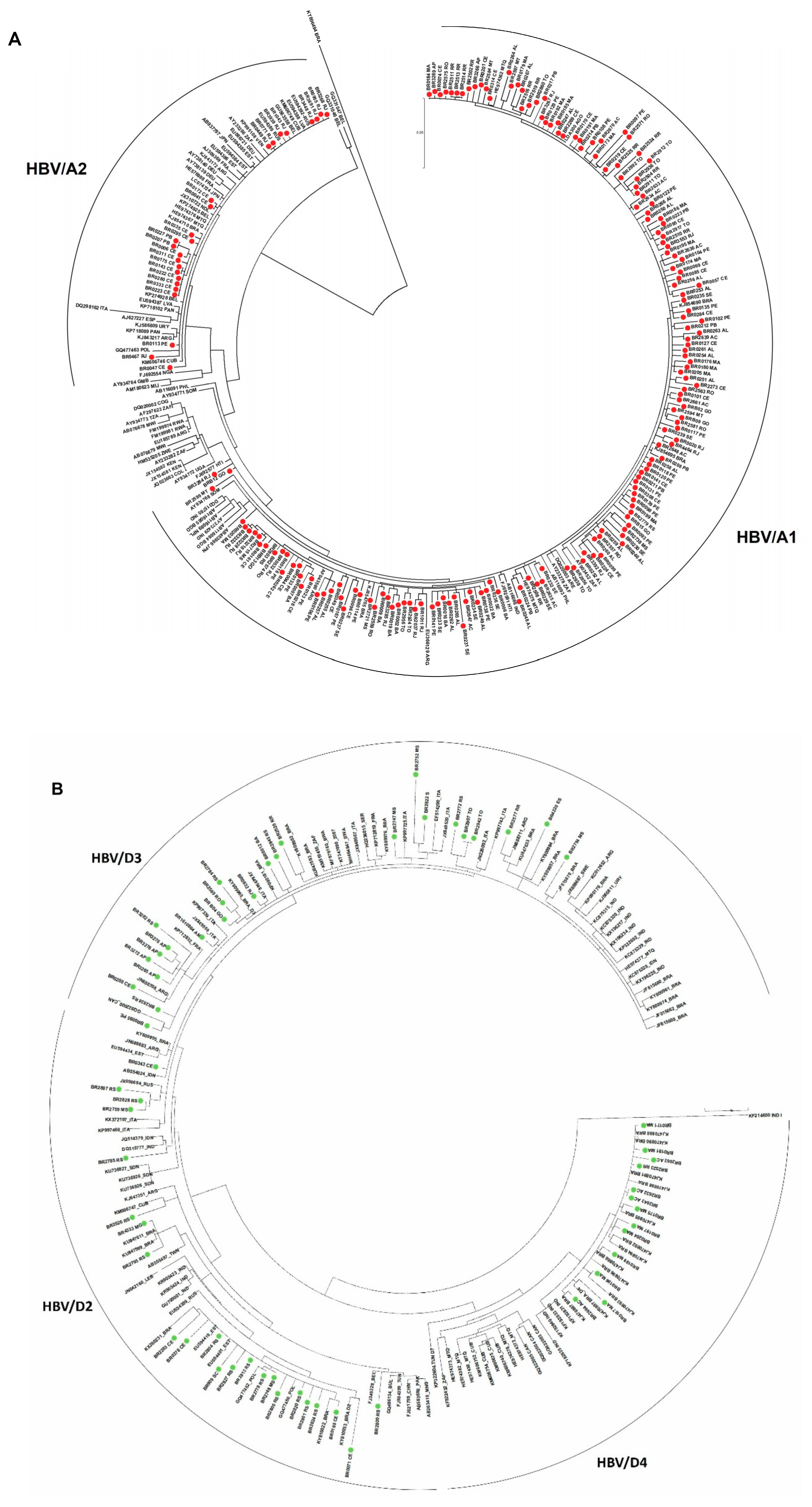 Viruses 11 00860 g004a Viruses 11 00860 g004a