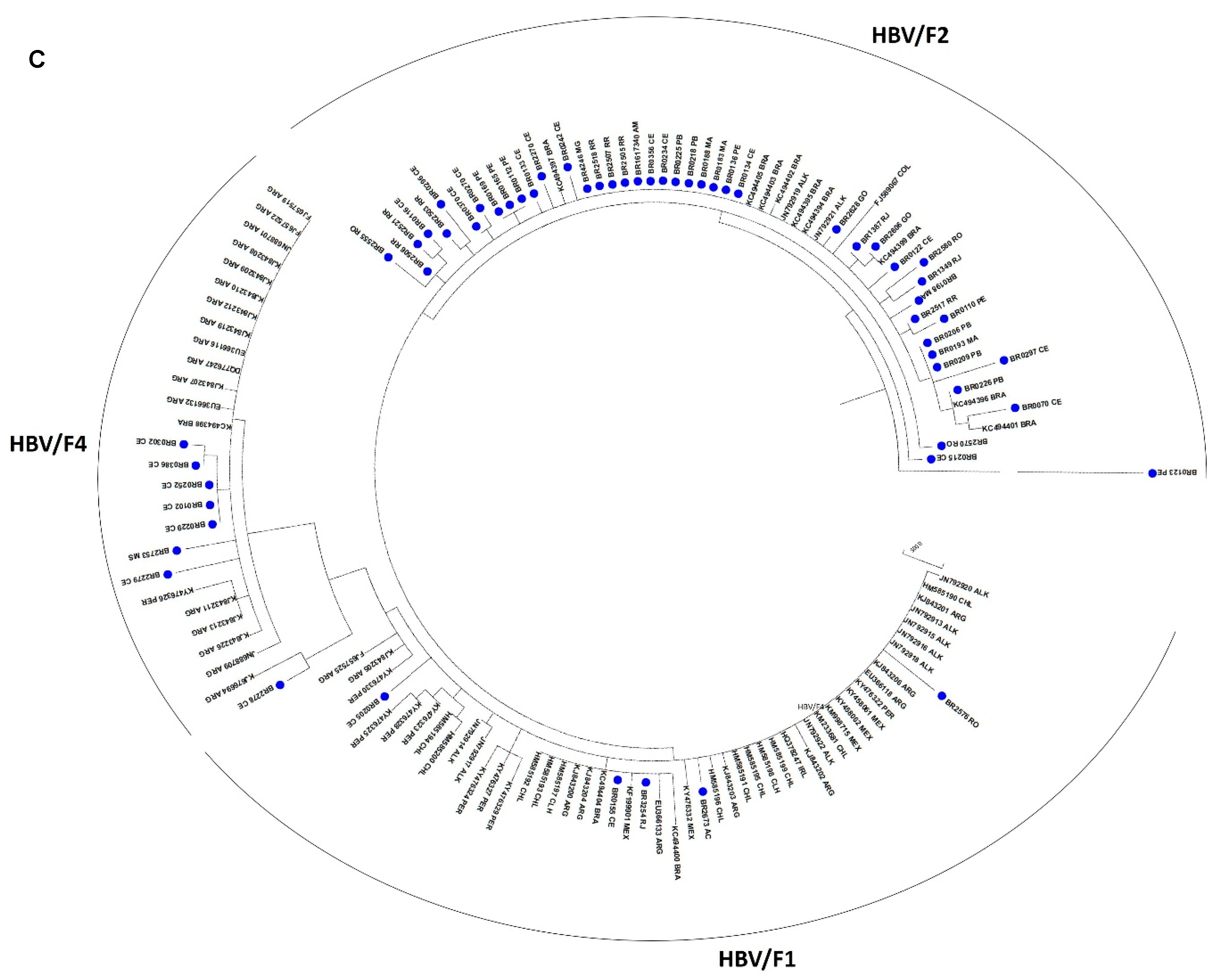 Viruses 11 00860 g004b Viruses 11 00860 g004b