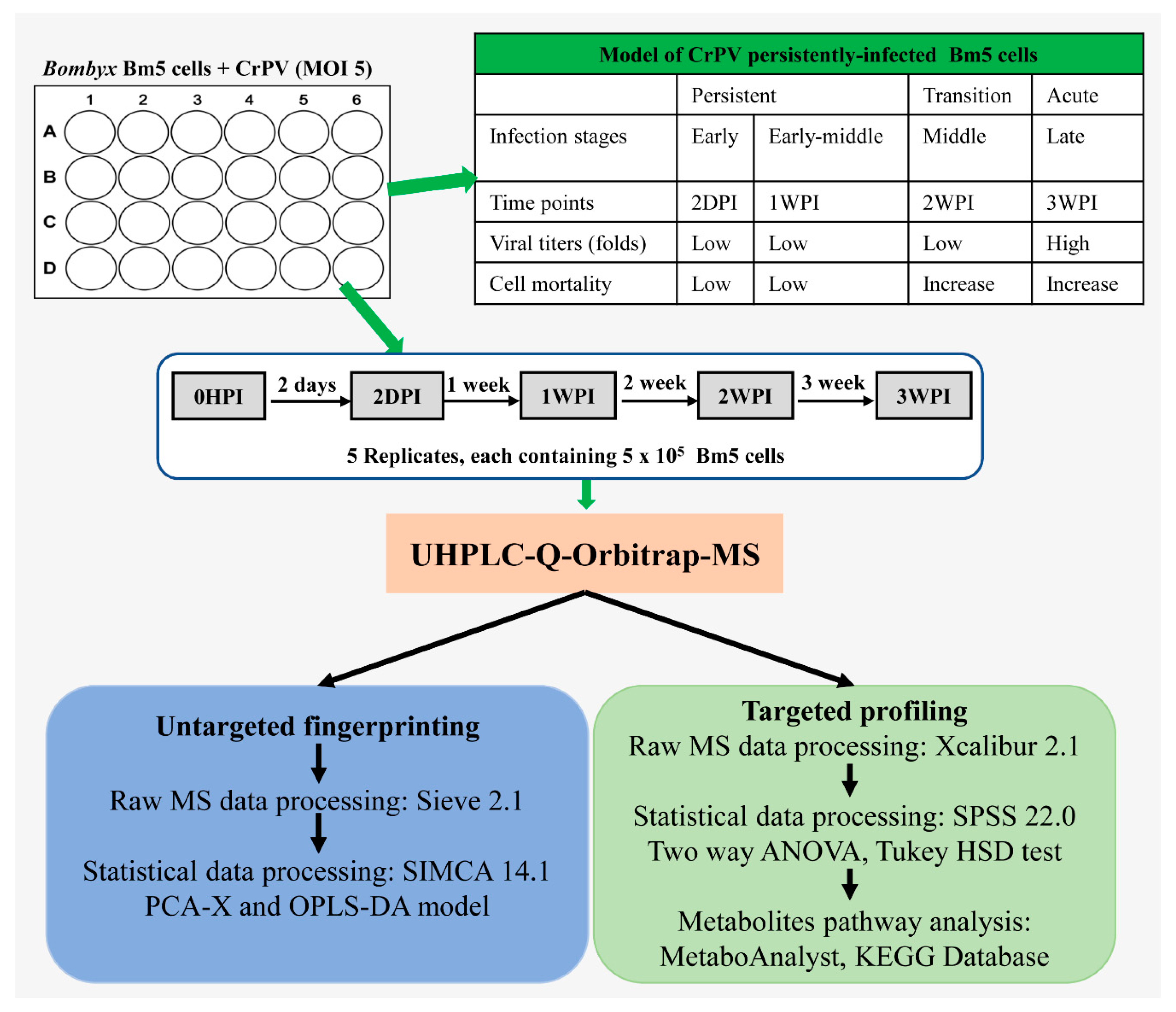 Viruses 11 00861 g001