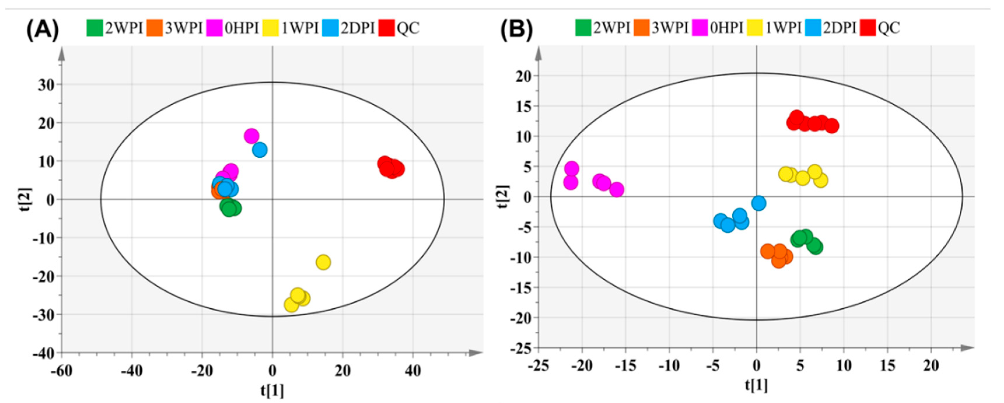 Viruses 11 00861 g002