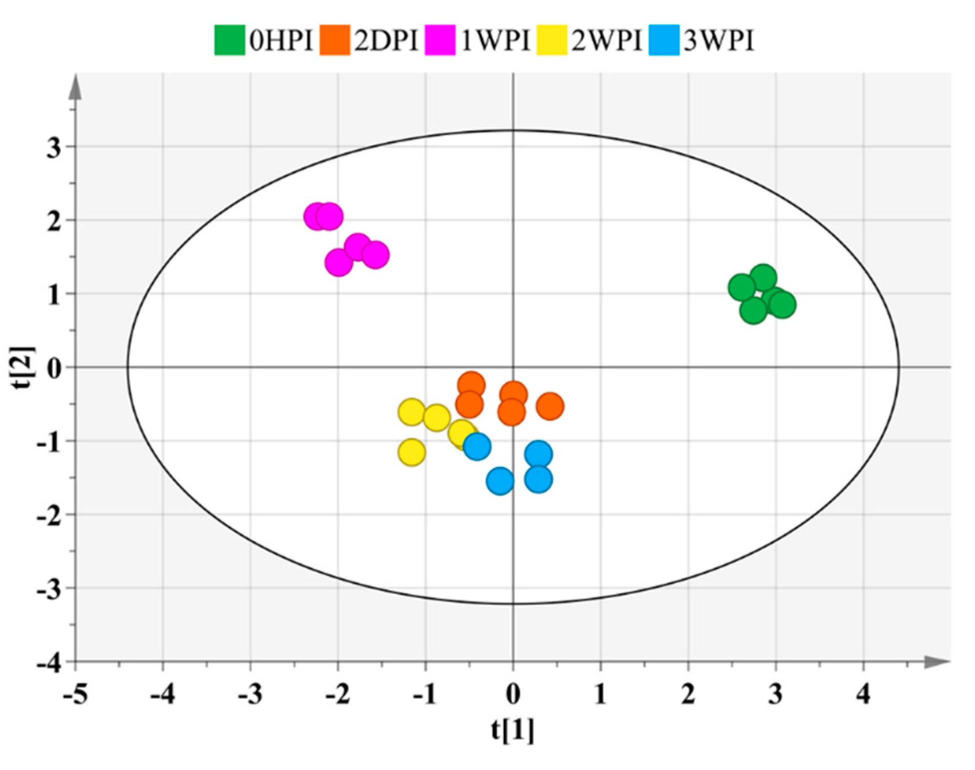 Viruses 11 00861 g003