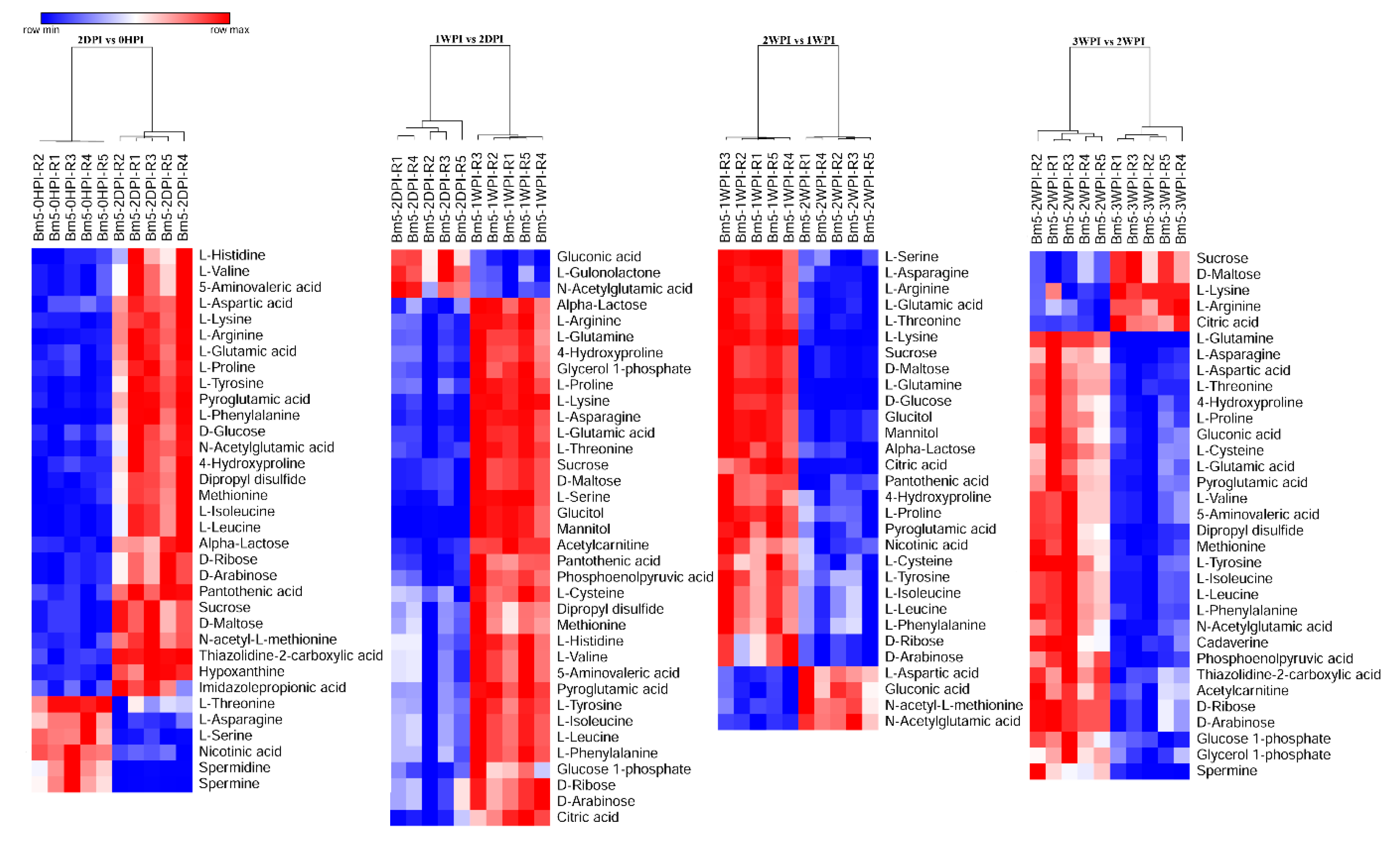 Viruses 11 00861 g004