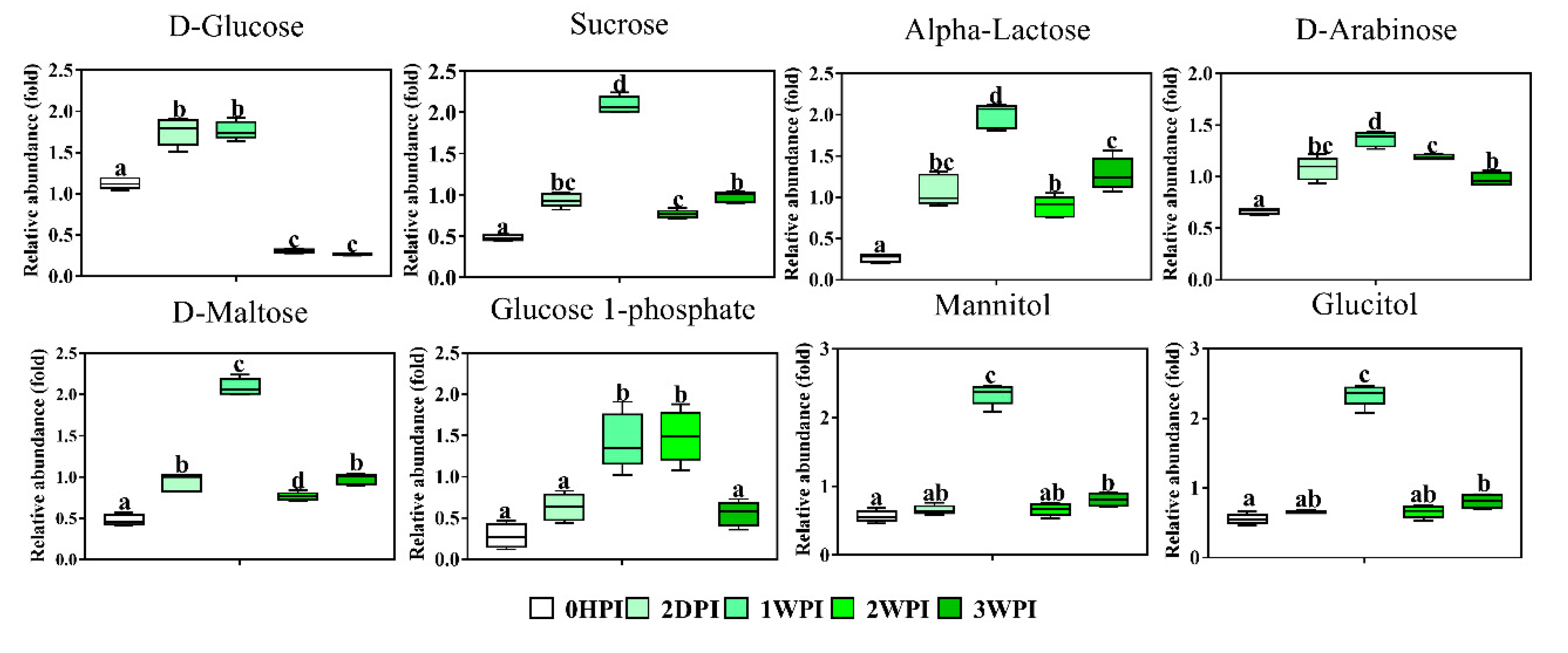 Viruses 11 00861 g006