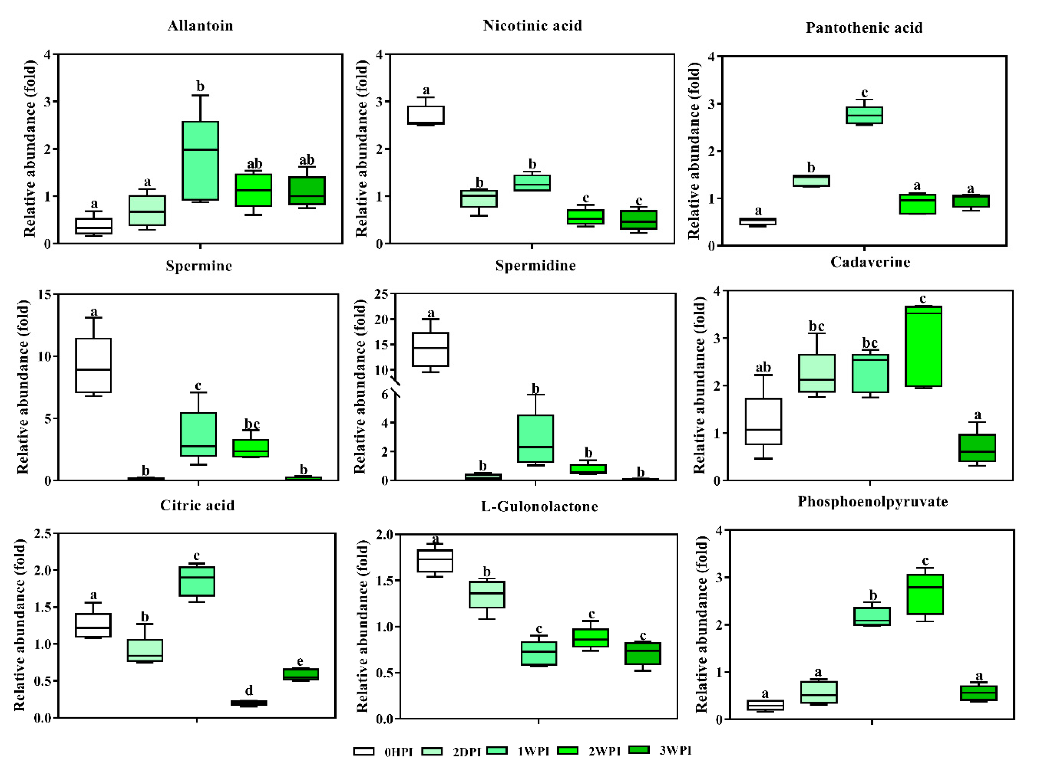Viruses 11 00861 g008
