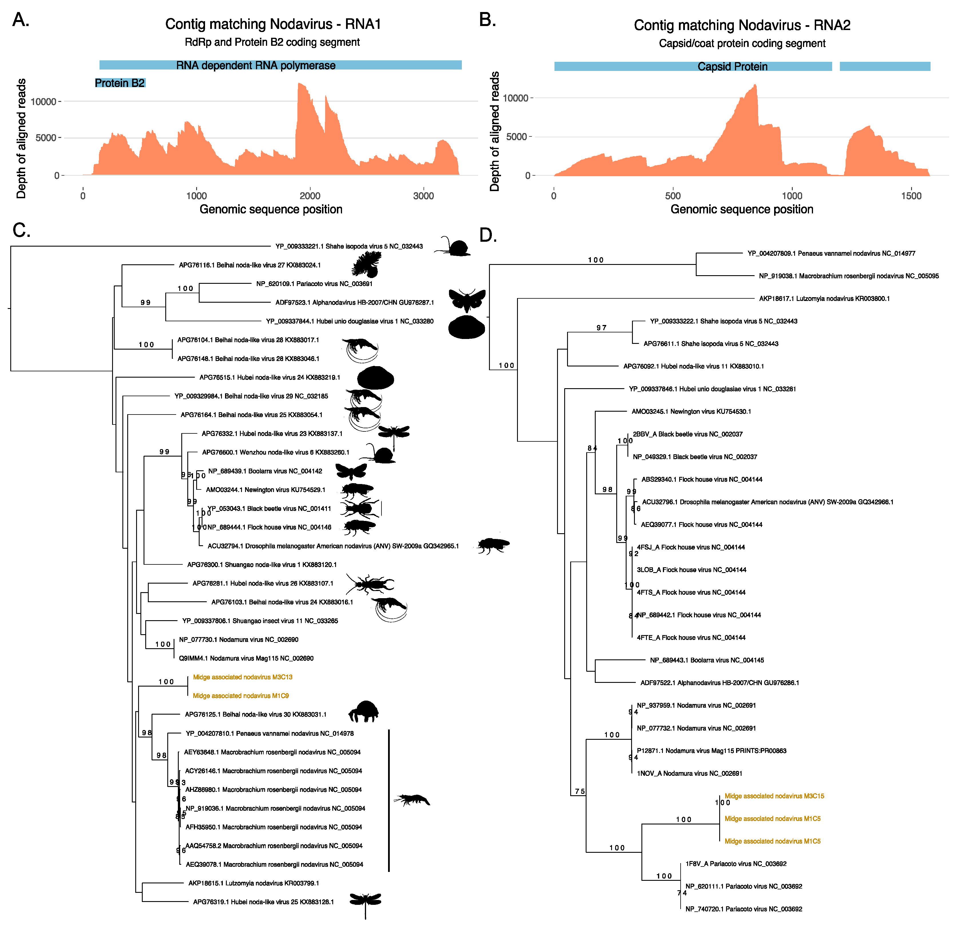 Viruses 11 00865 g003