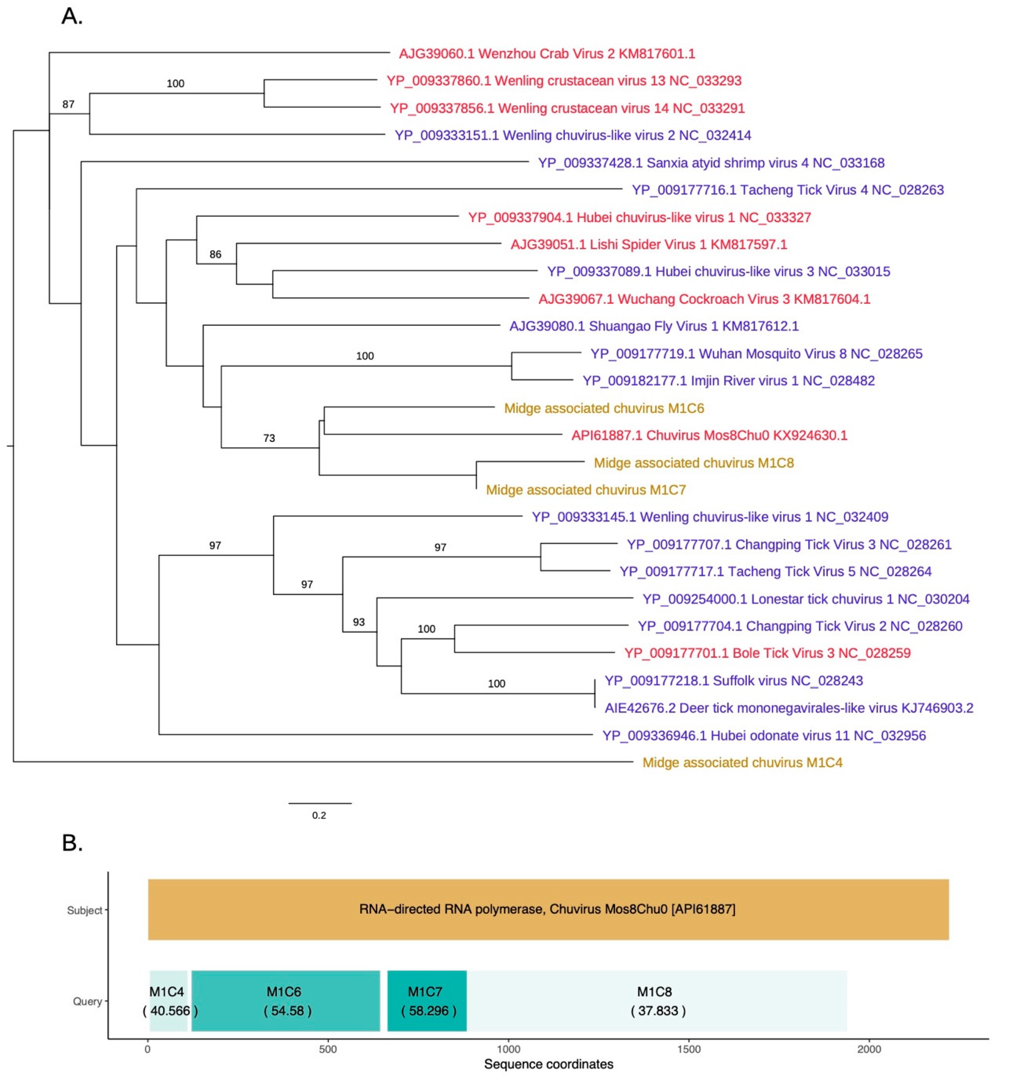 Viruses 11 00865 g005