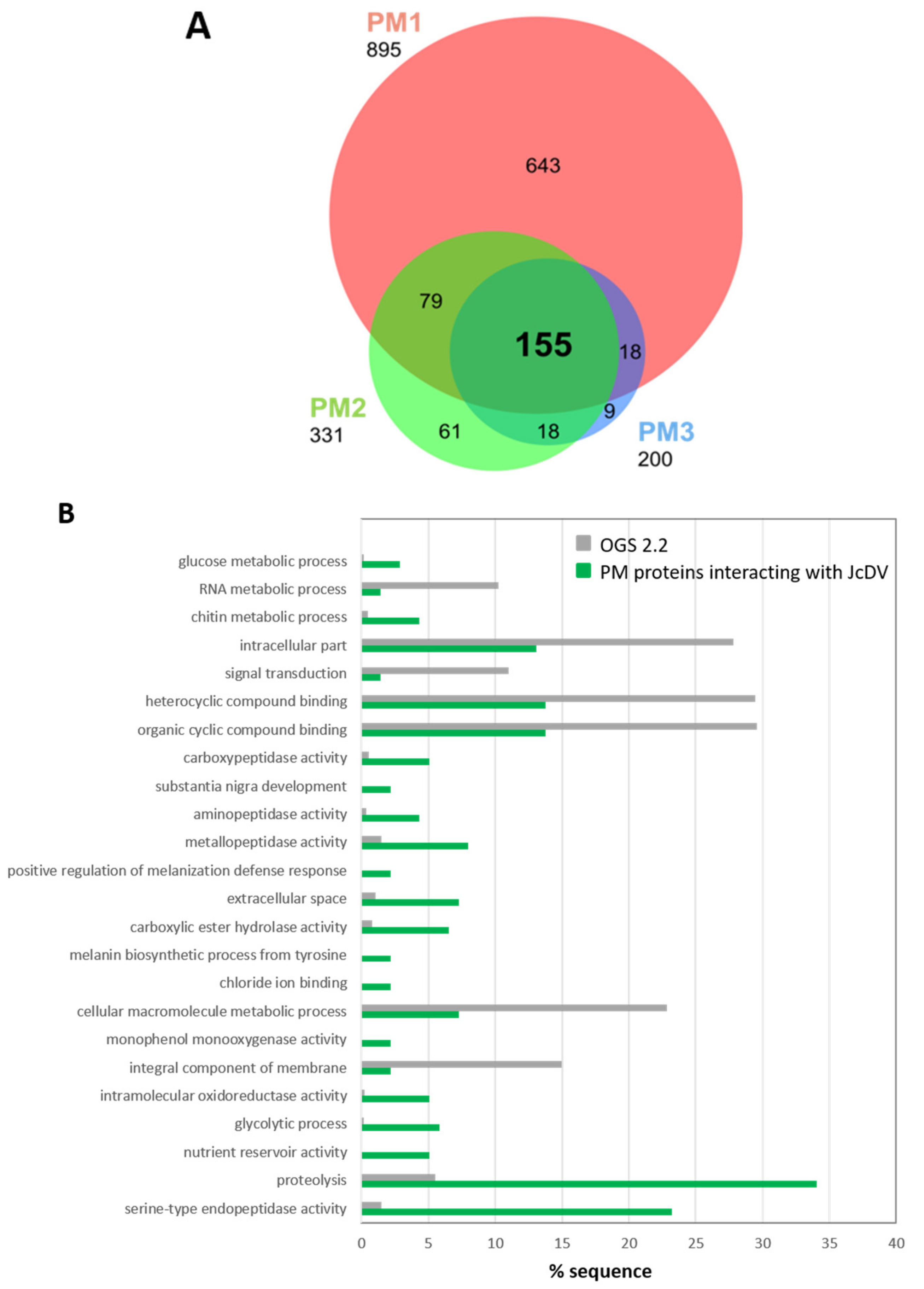Viruses 11 00870 g006