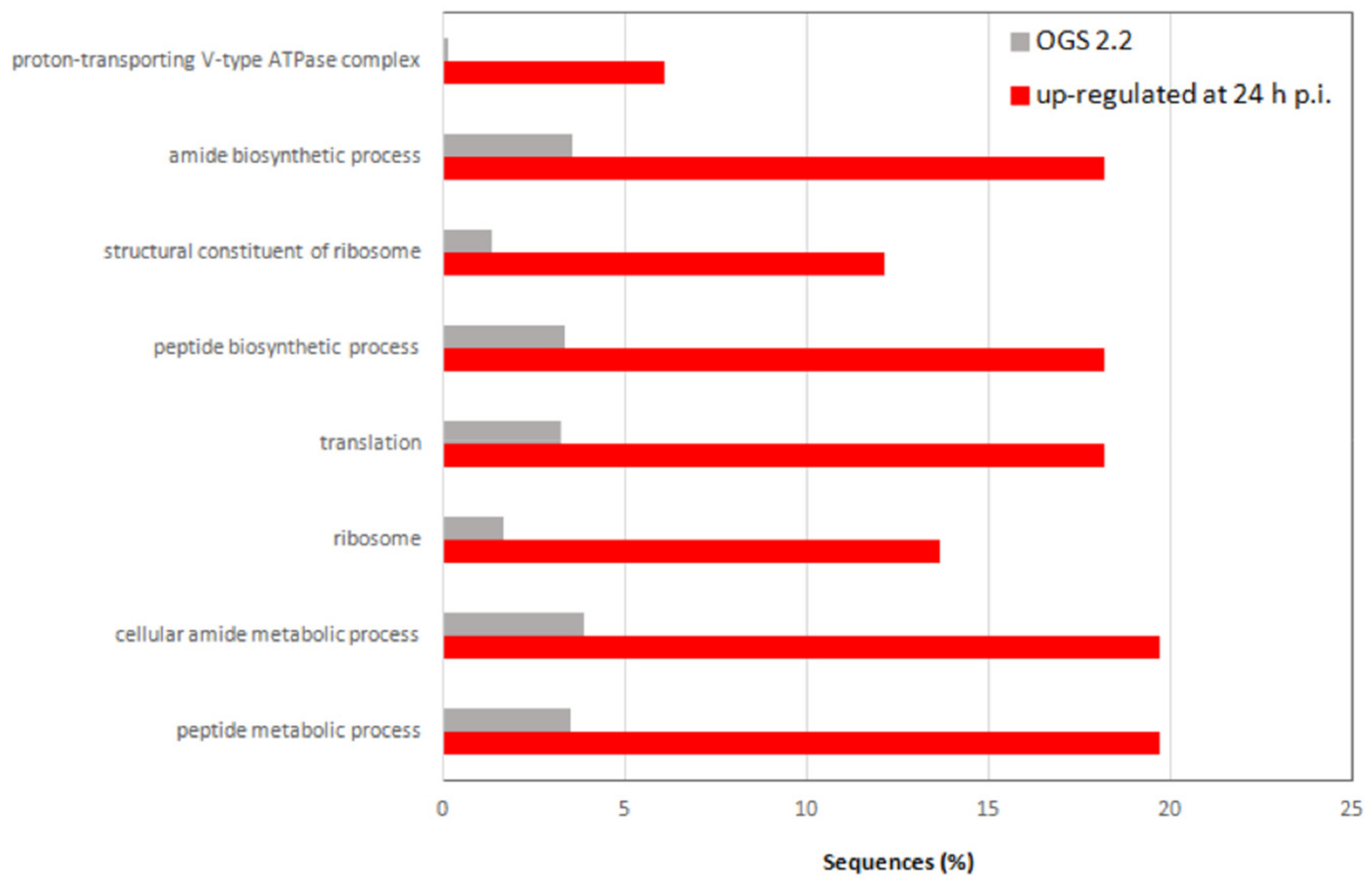Viruses 11 00870 g008
