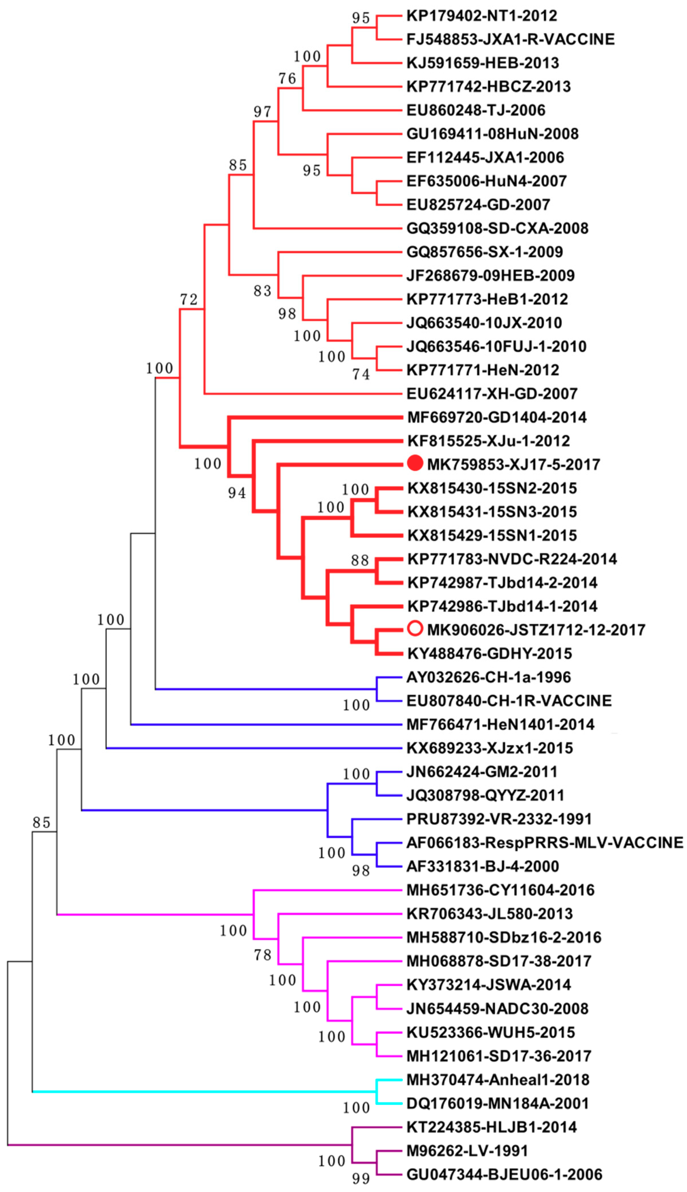 Viruses 11 00875 g004 Viruses 11 00875 g004