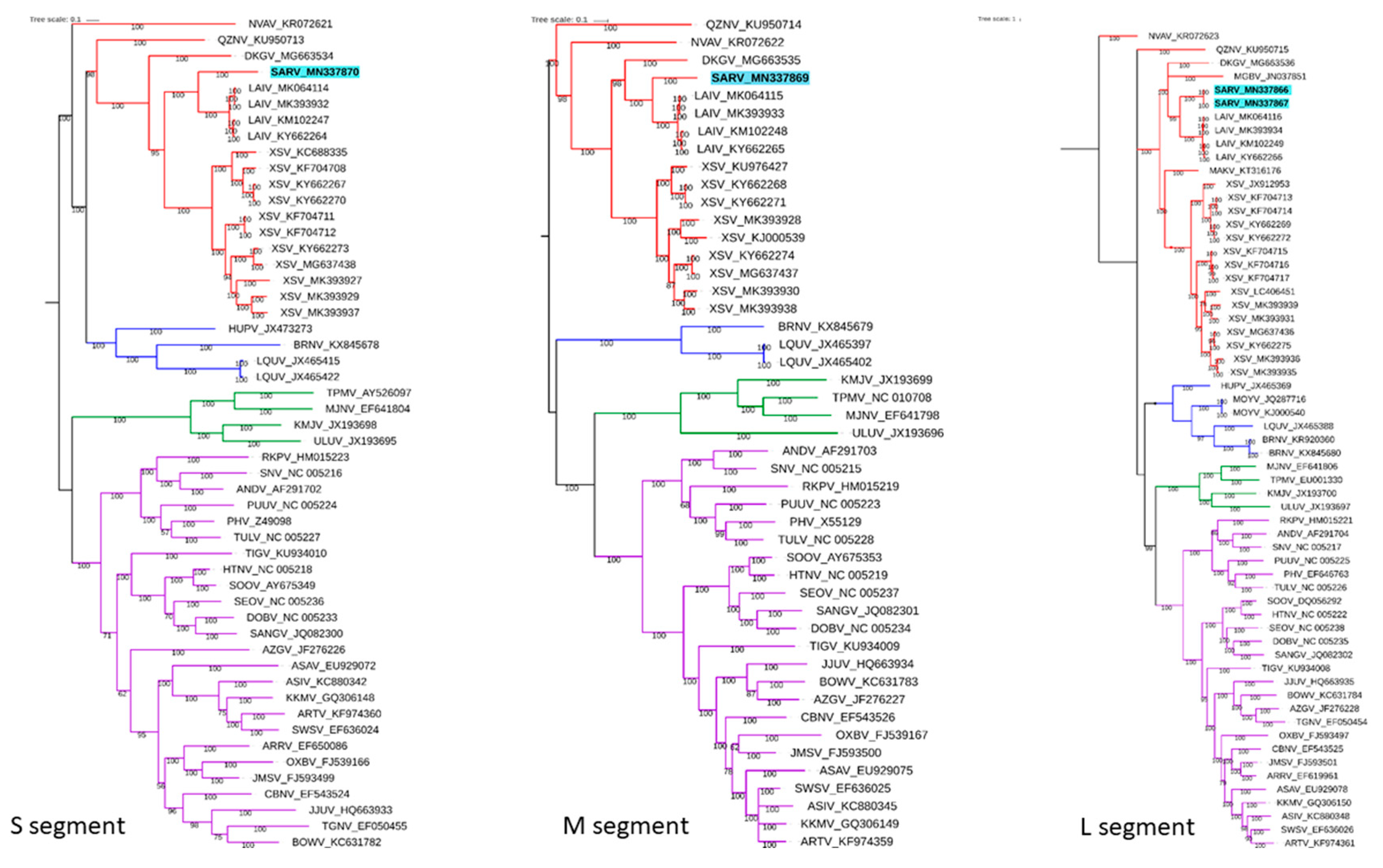 Viruses 11 00887 g002