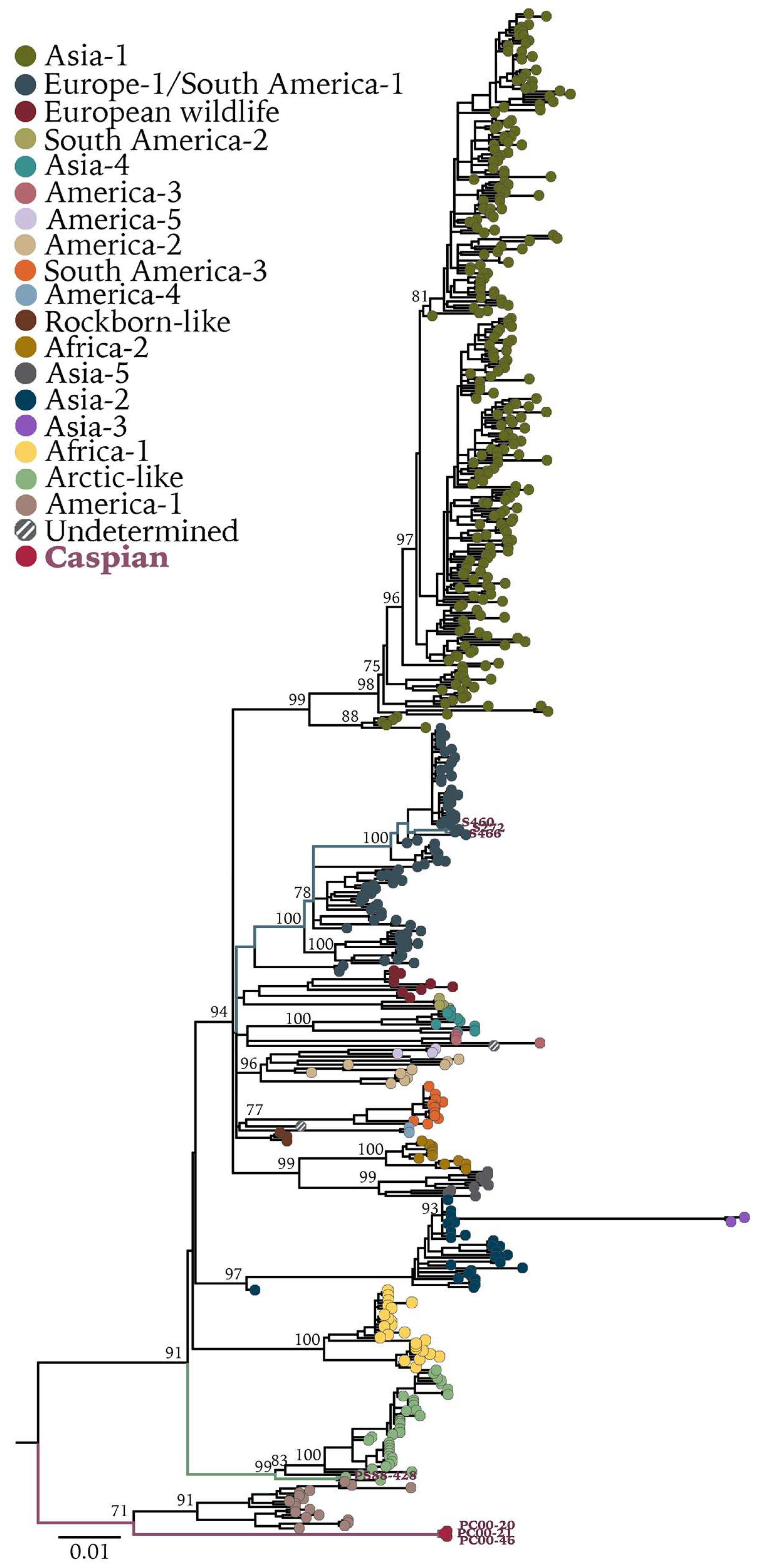 Viruses 11 00894 g003