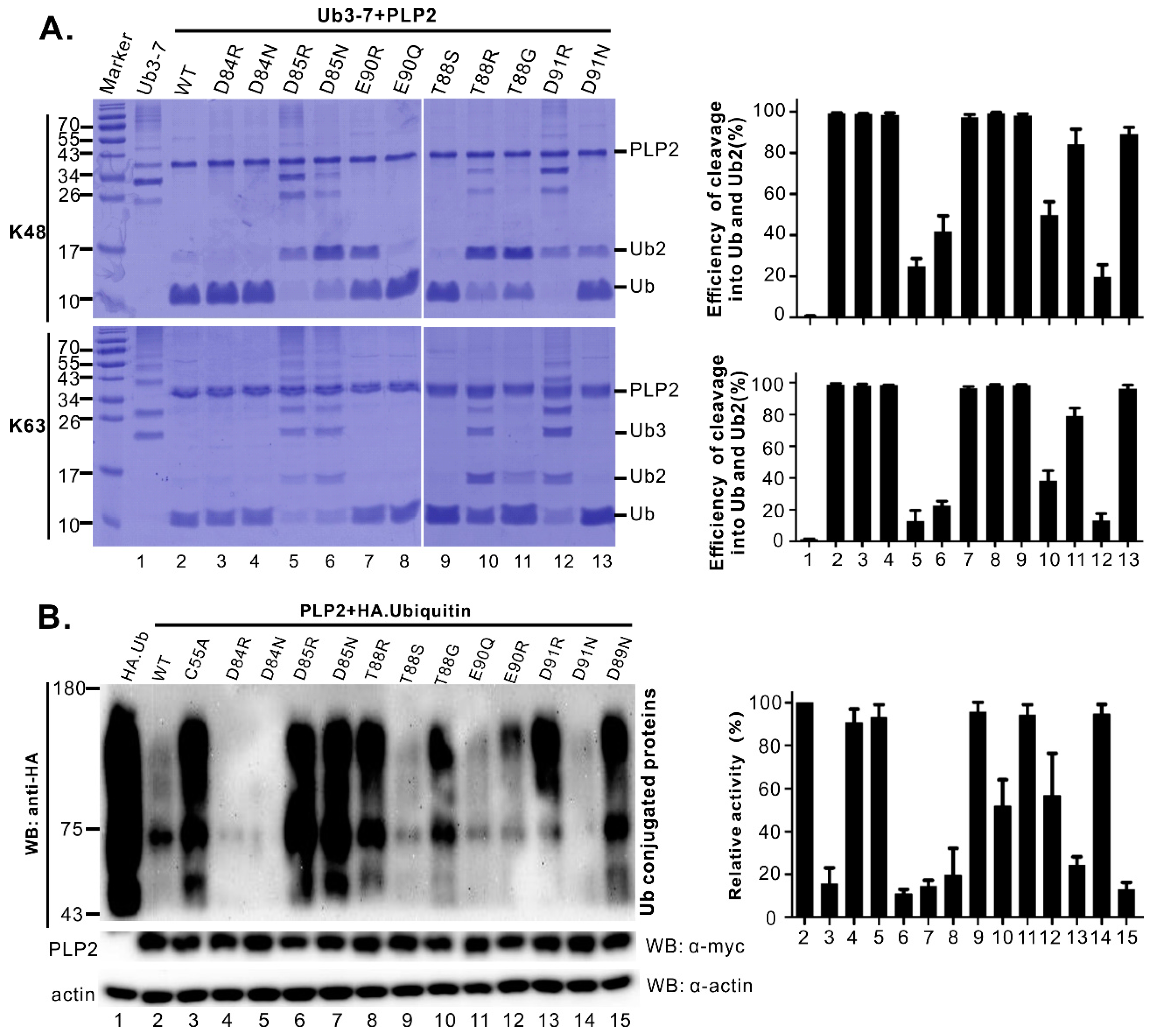 Viruses 11 00896 g004