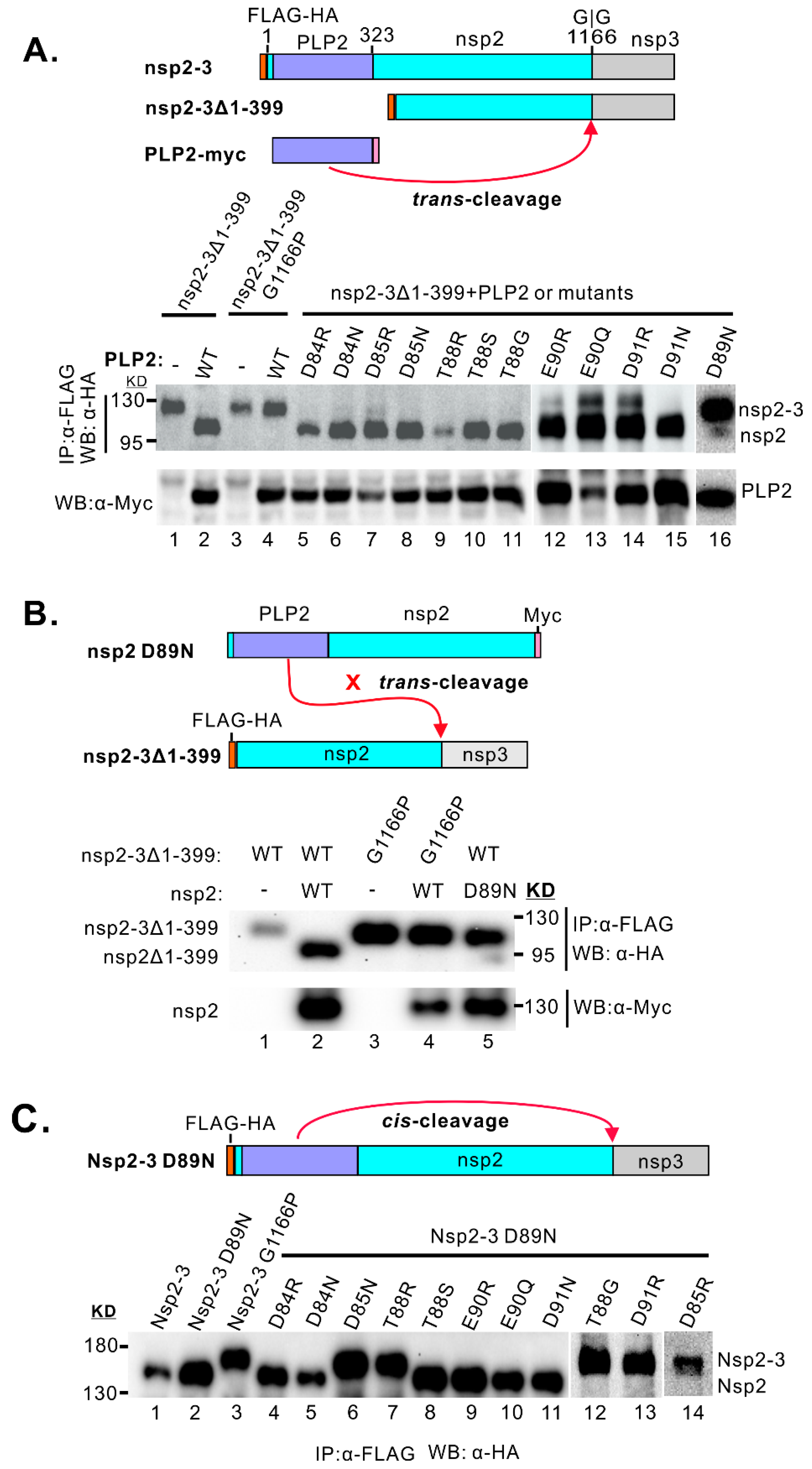 Viruses 11 00896 g005