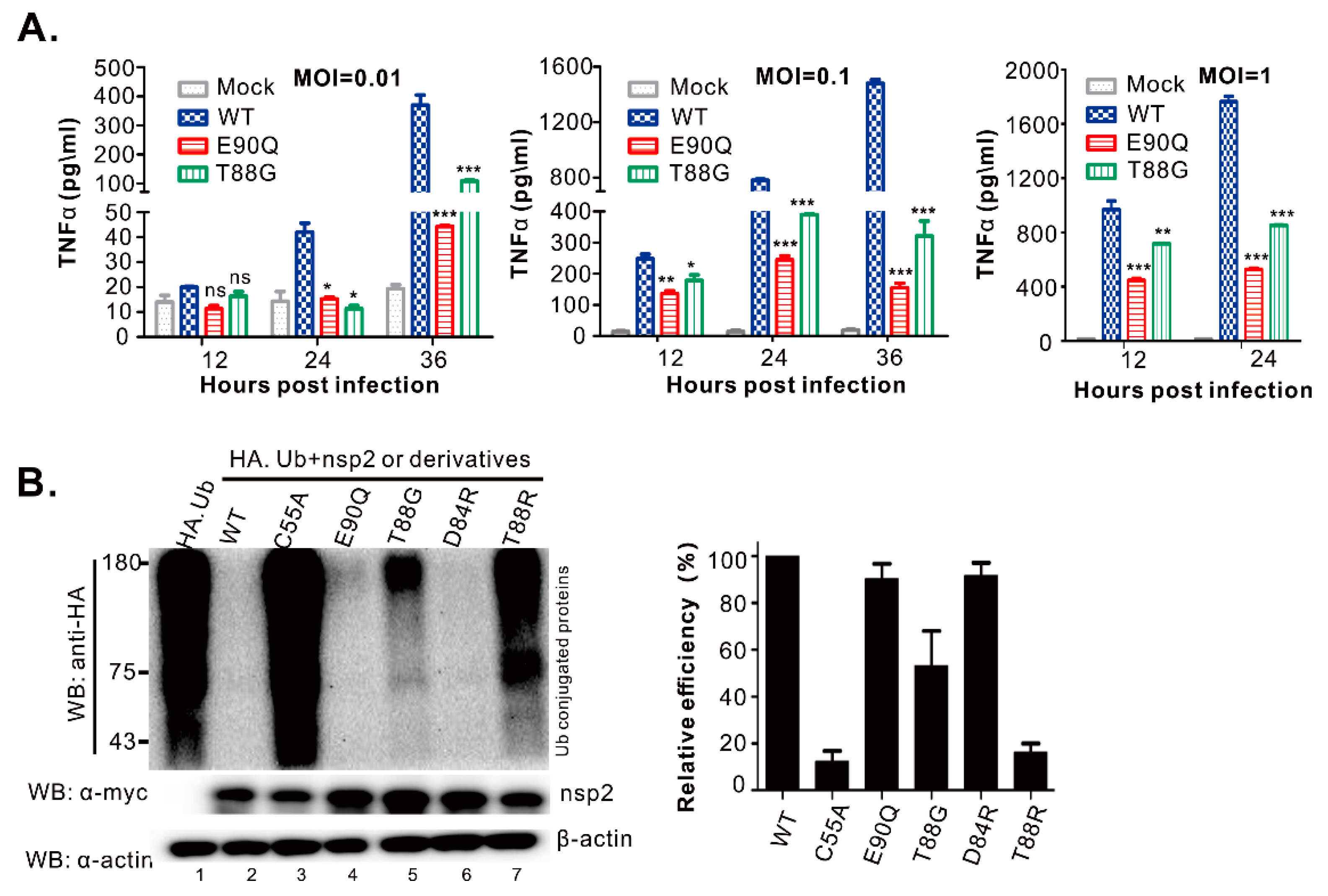 Viruses 11 00896 g008