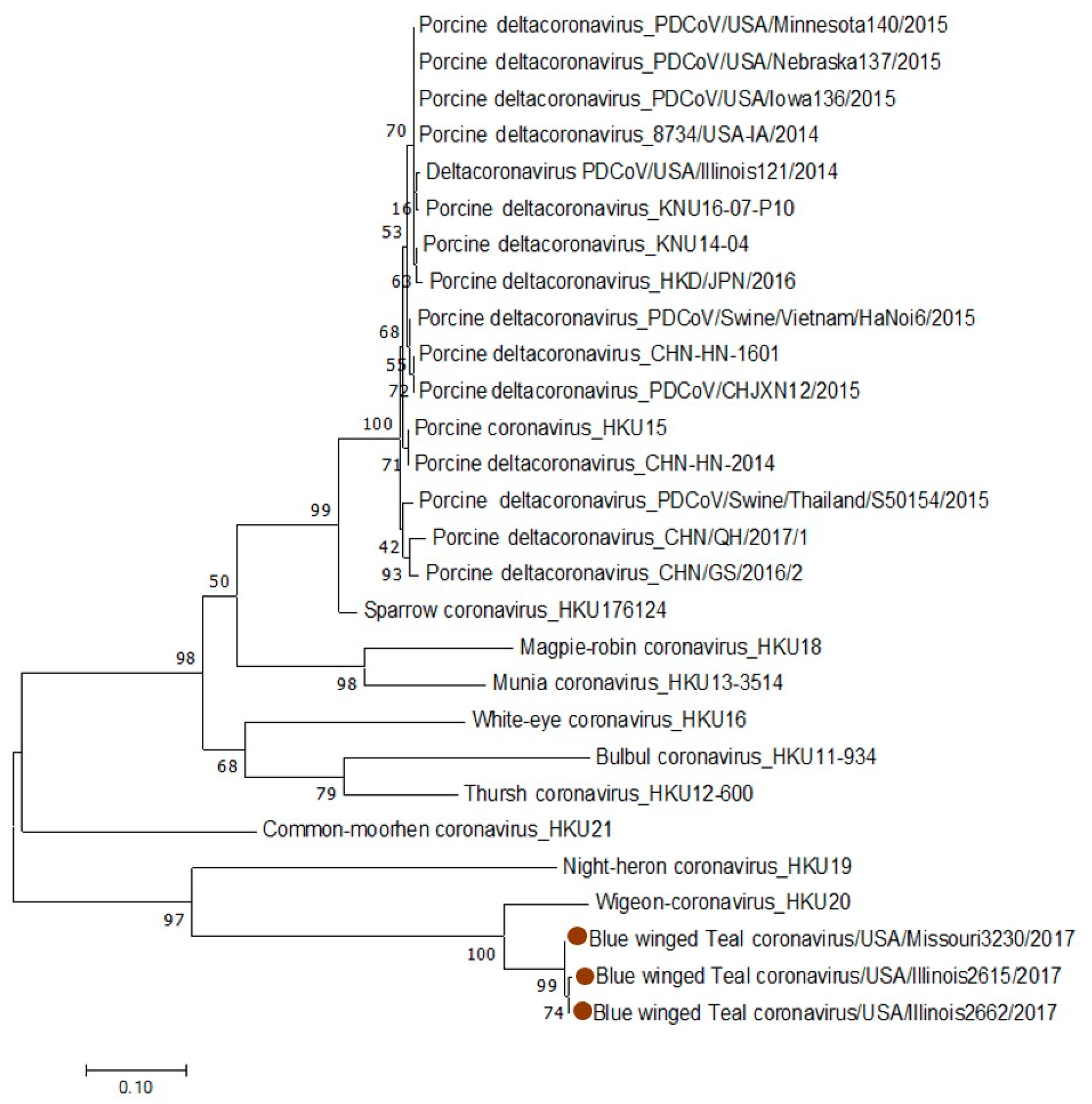 Viruses 11 00897 g003