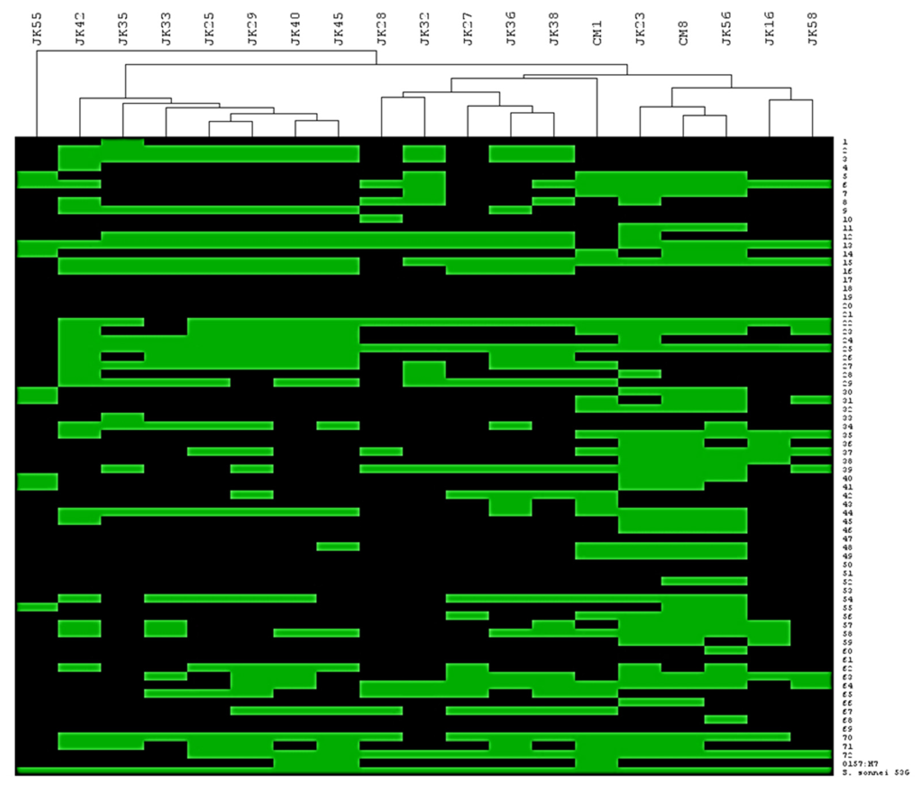 Viruses 11 00899 g001